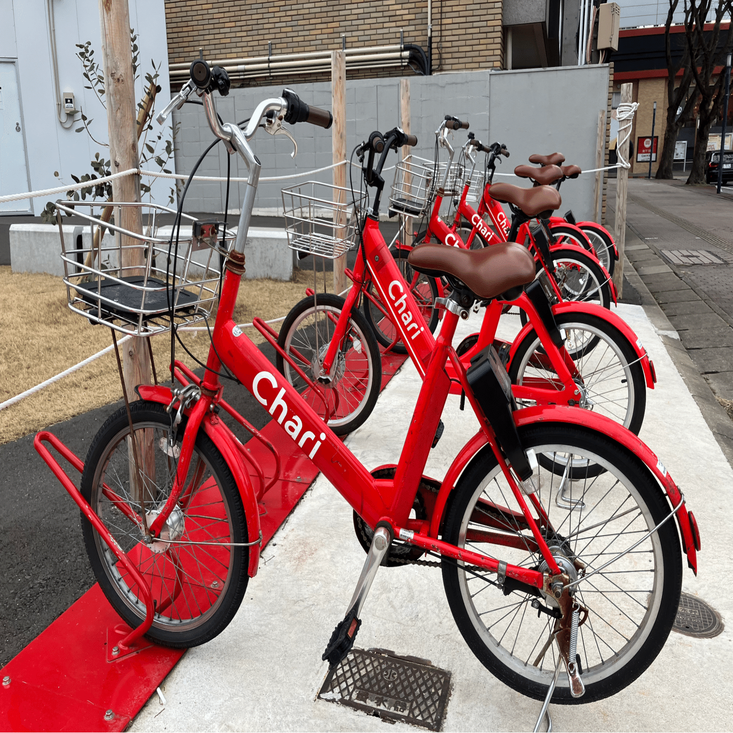 チャリチャリって、どう運営しているの？ 新規ポート開設の舞台裏