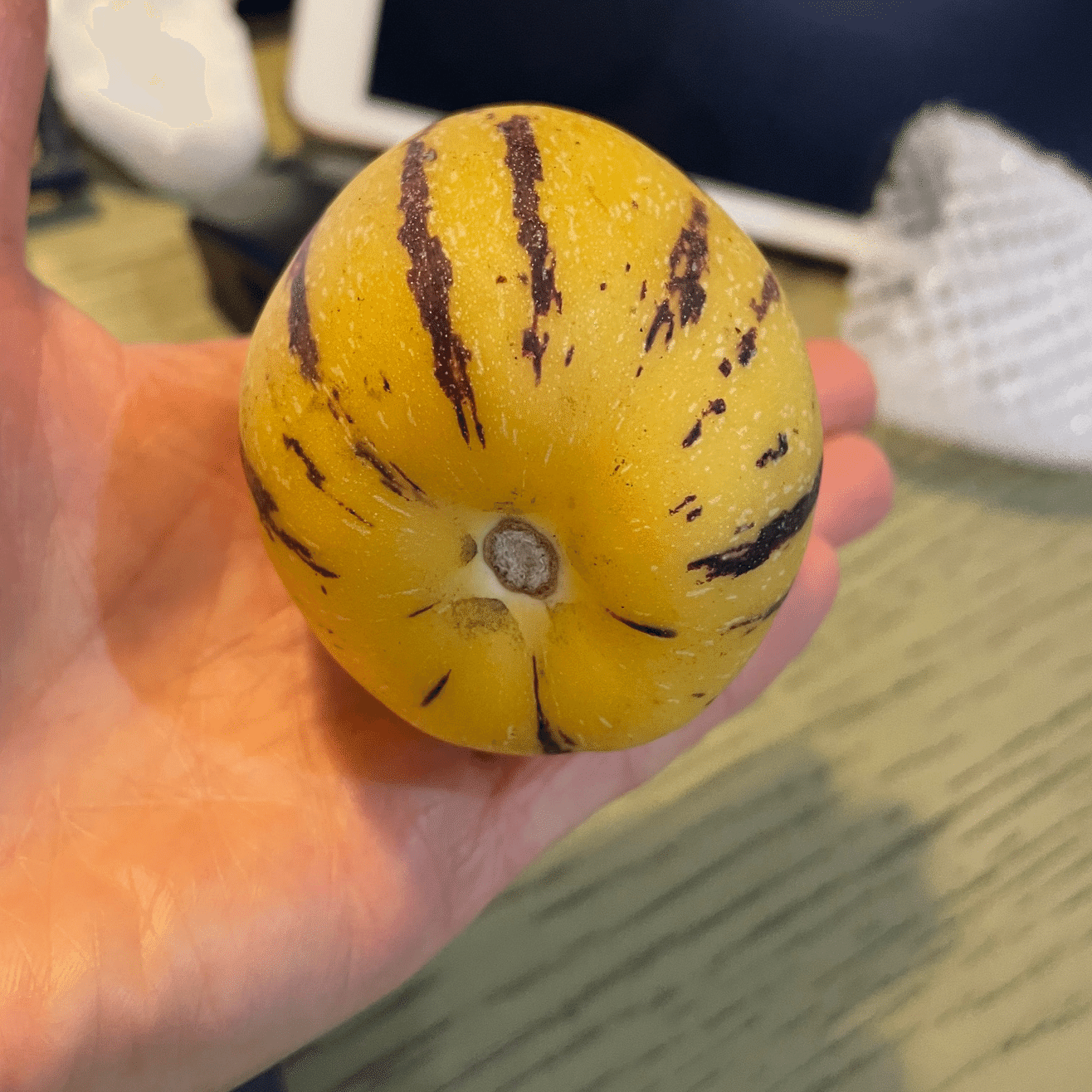 中国で初挑戦の果物たち！｜どんぐりころころ