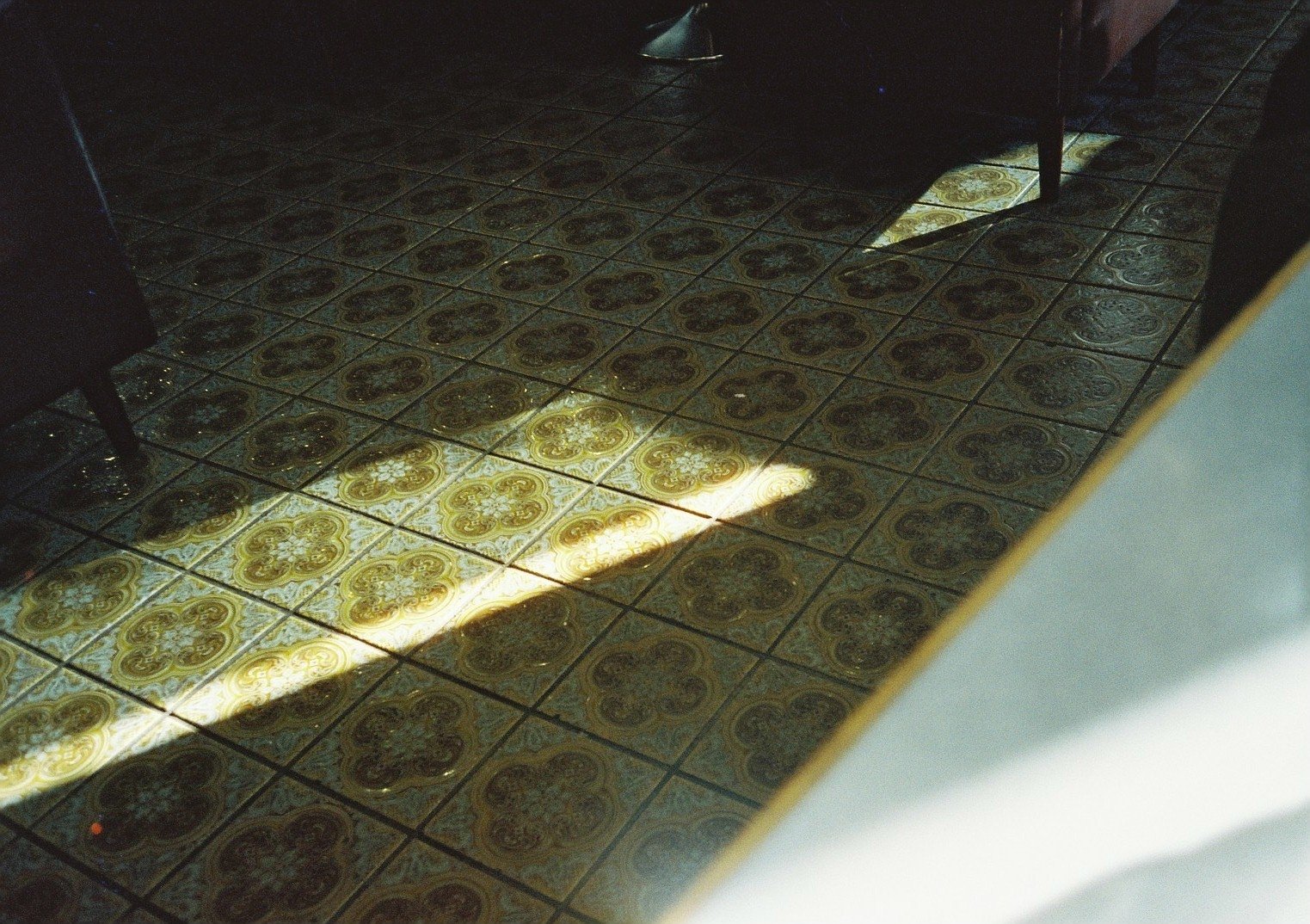 美品★限定生産品★オリンパス OLYMPUS ECRU#230384 オリンパス ecru ＜限定品＞ 展示品