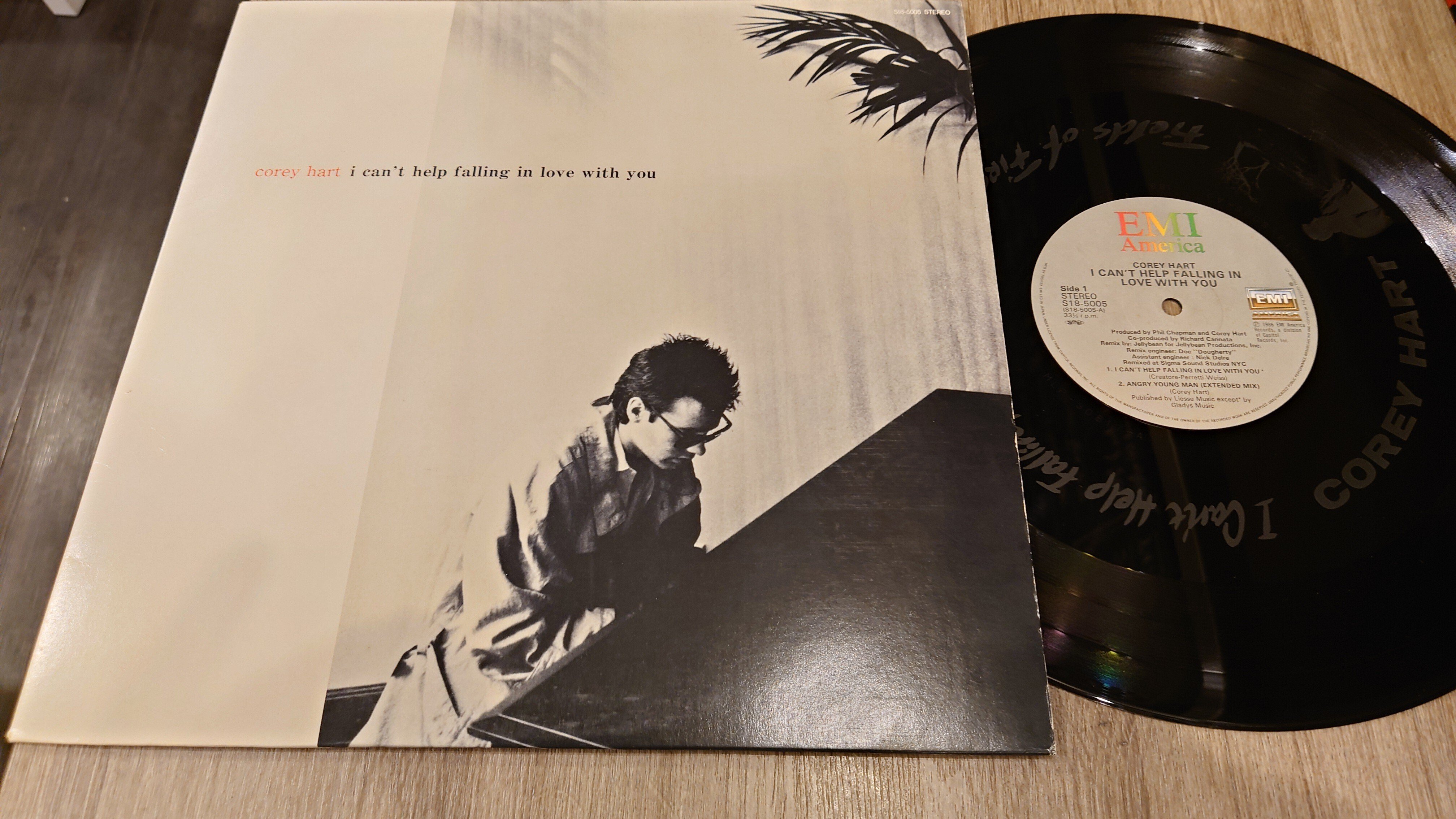 7インチ盤専門店雑記455「12インチ・シングルの愉悦：その他の高音質