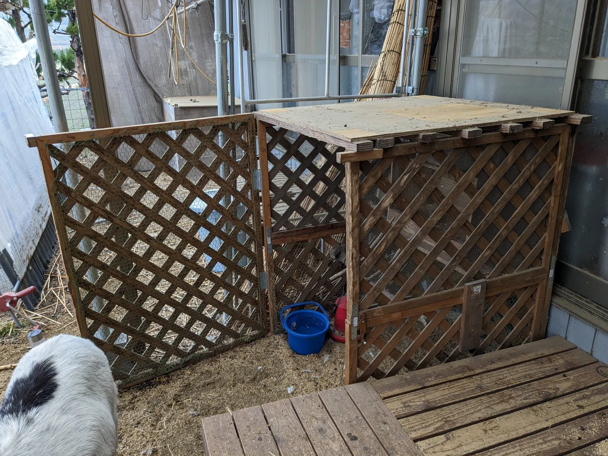 新しい鶏小屋づくり｜のんびり農園
