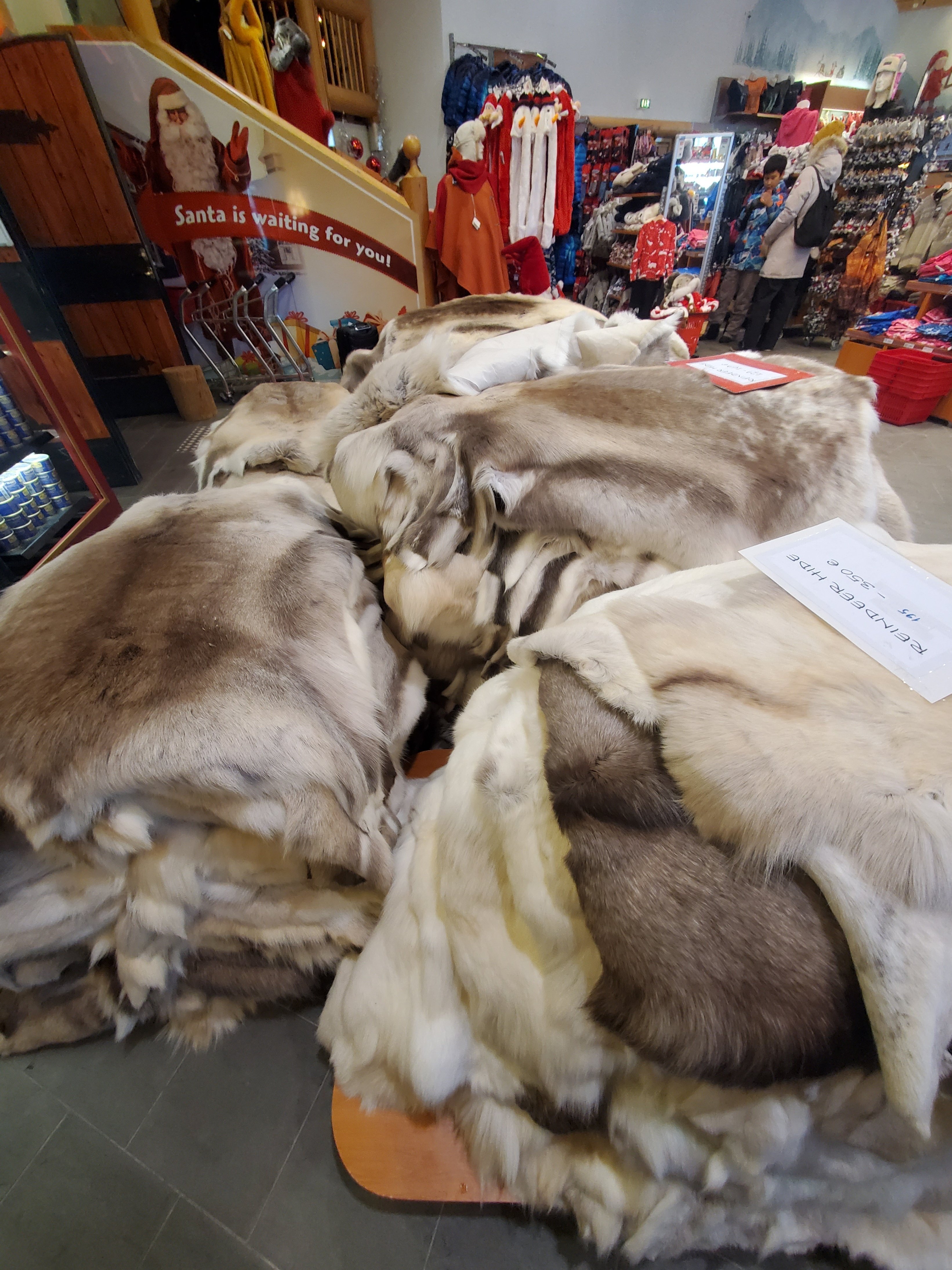 フィンランド旅行1日目｜おじじのしりじ