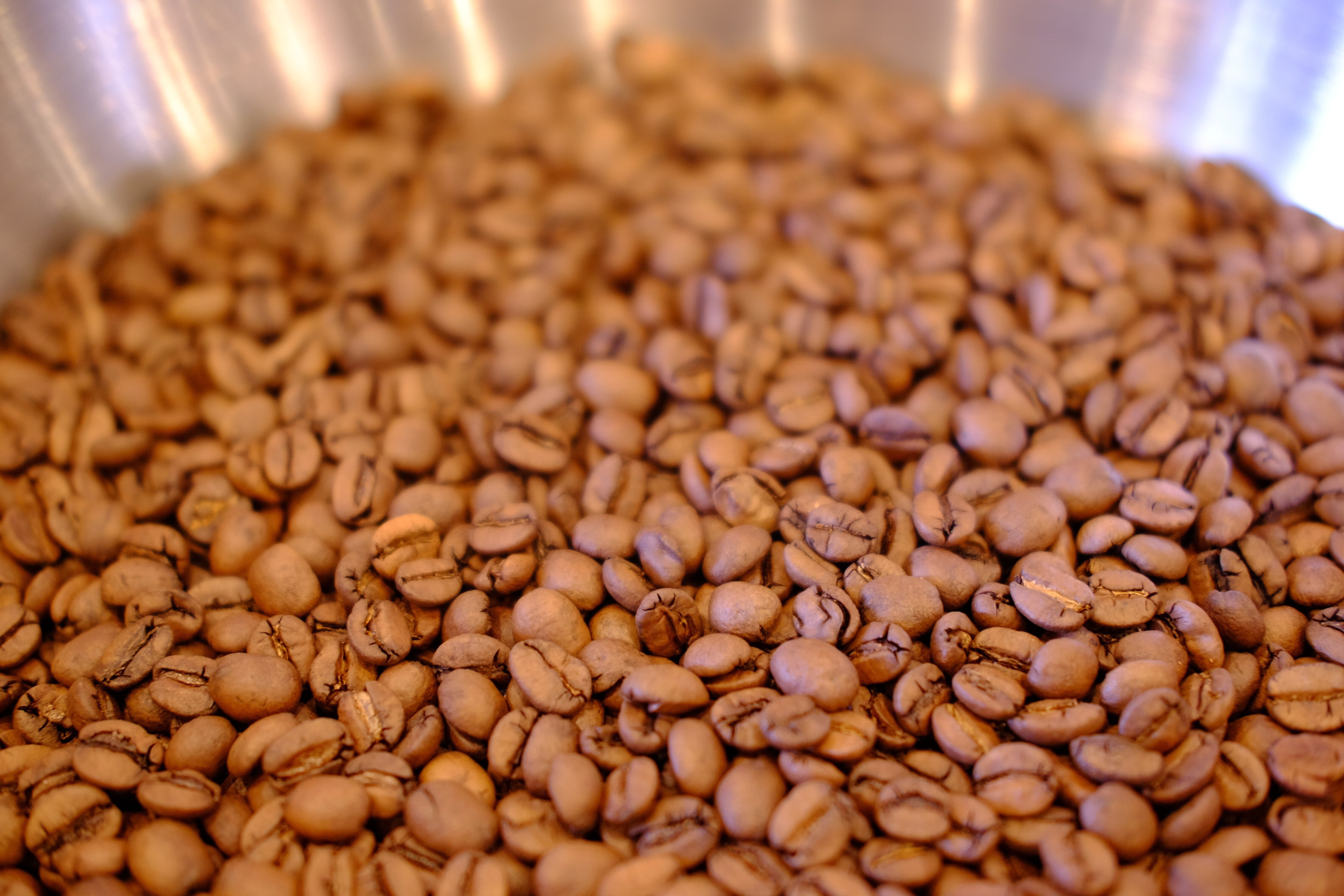 カフェ・ヴィーニョ・ロッソ｜京都焙煎 佰荳屋