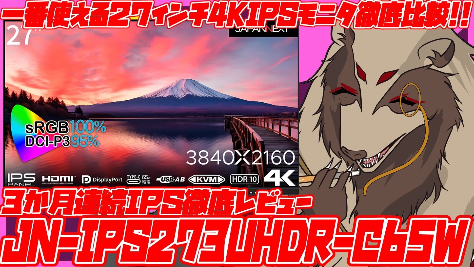 レビュー：JN-IPS273UHDR-C65W｜世田谷のタヌキ