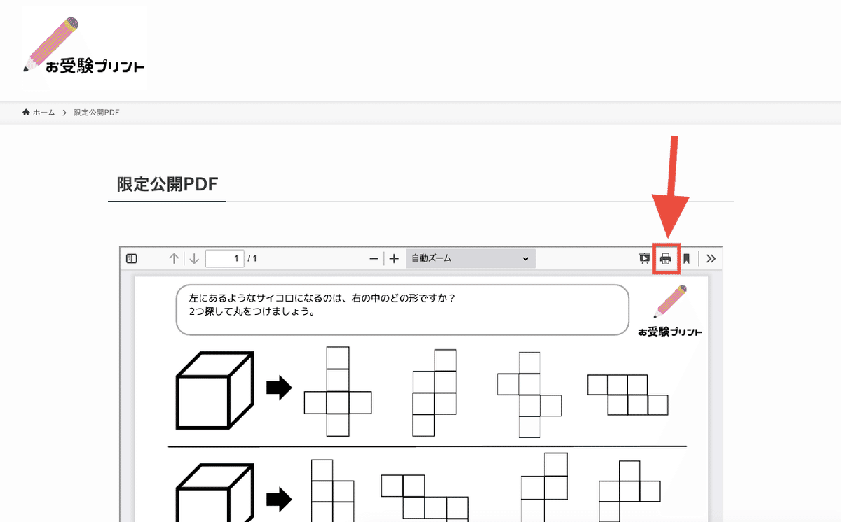TAM小学校受験☆お受験コース年長8ヶ月分プリント ペーパー対策に