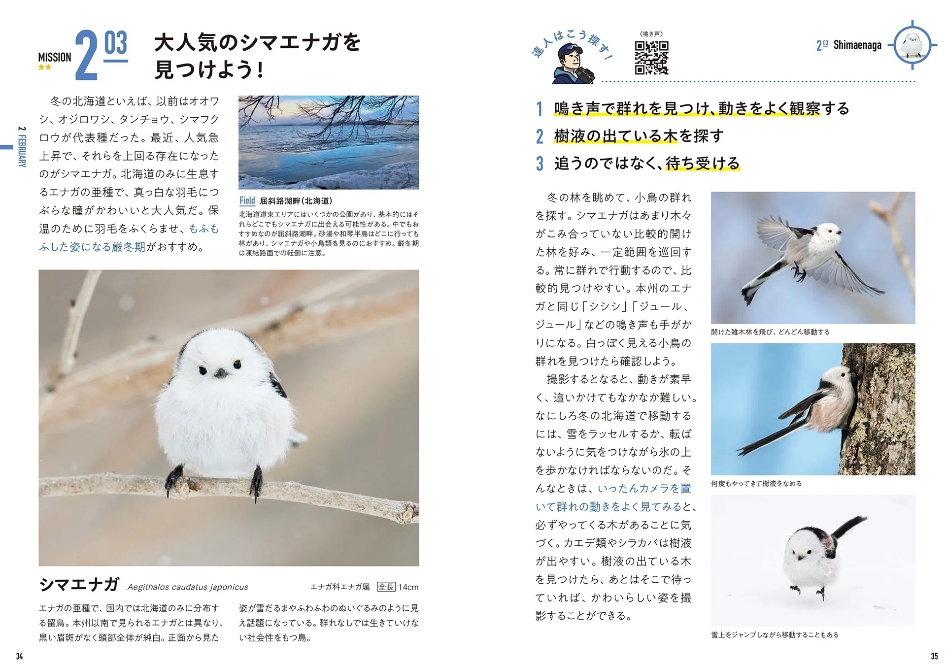 シマエナガ 生息 地