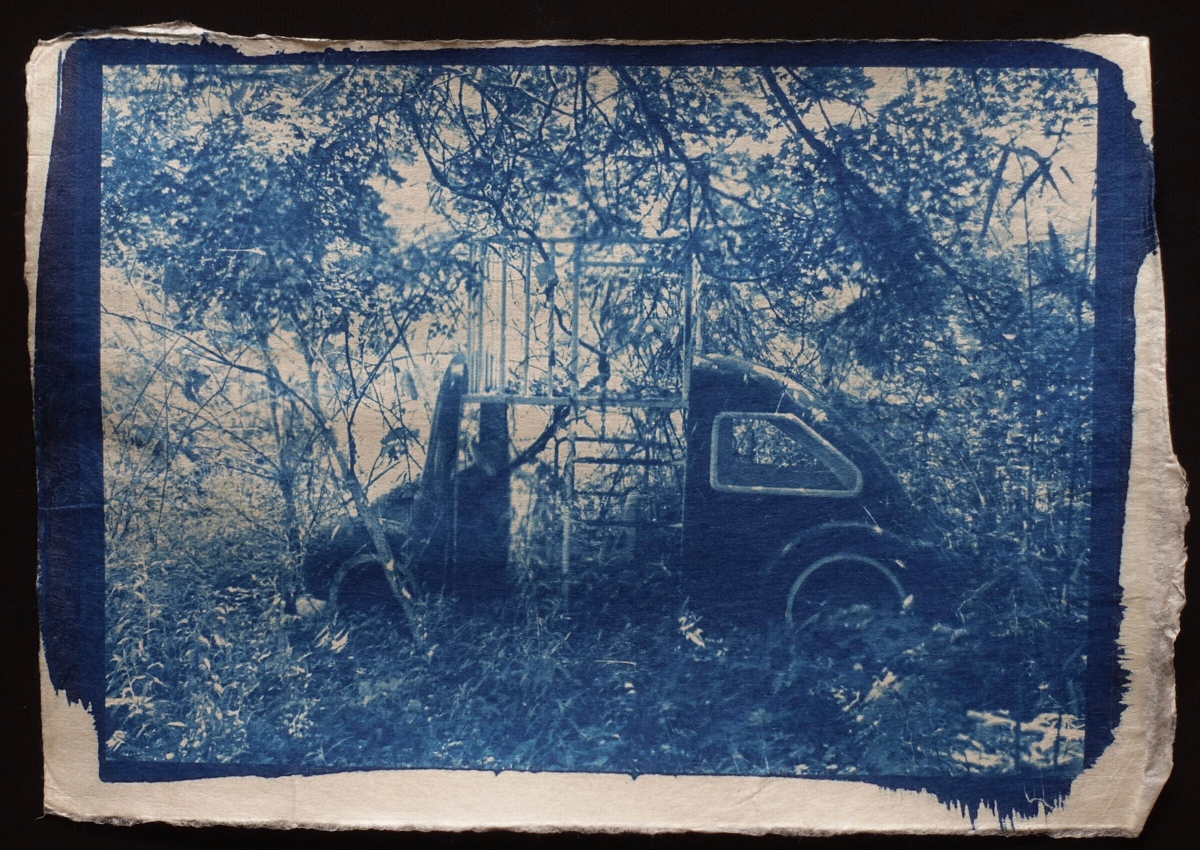 サイアノ（日光写真）に挑戦】プルシアンブルーの世界に宿るもの｜uma