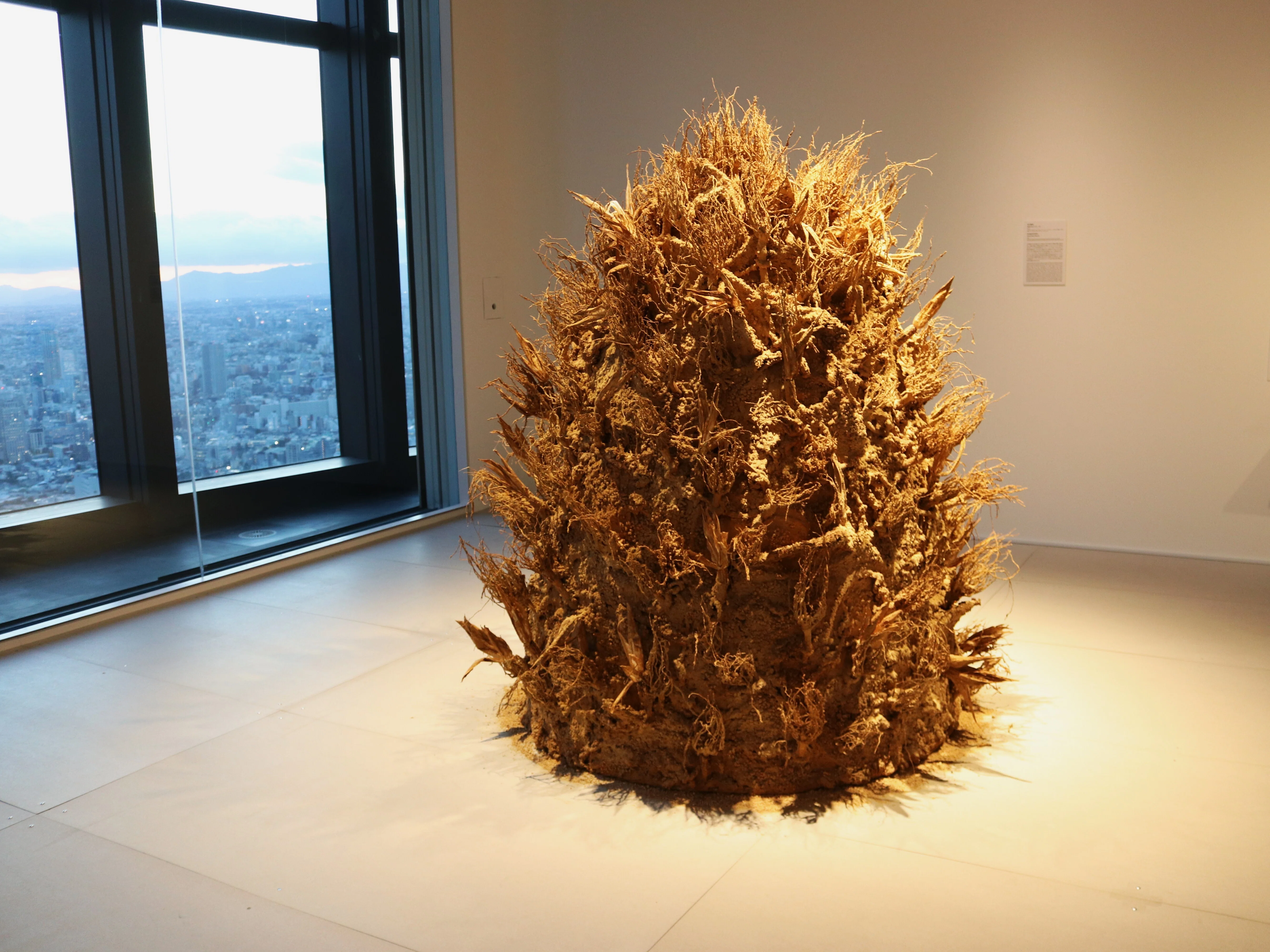写真】11/30の紅葉と,谷口雅邦,殿敷 侃 の立体作品（森美術館）｜Abbey