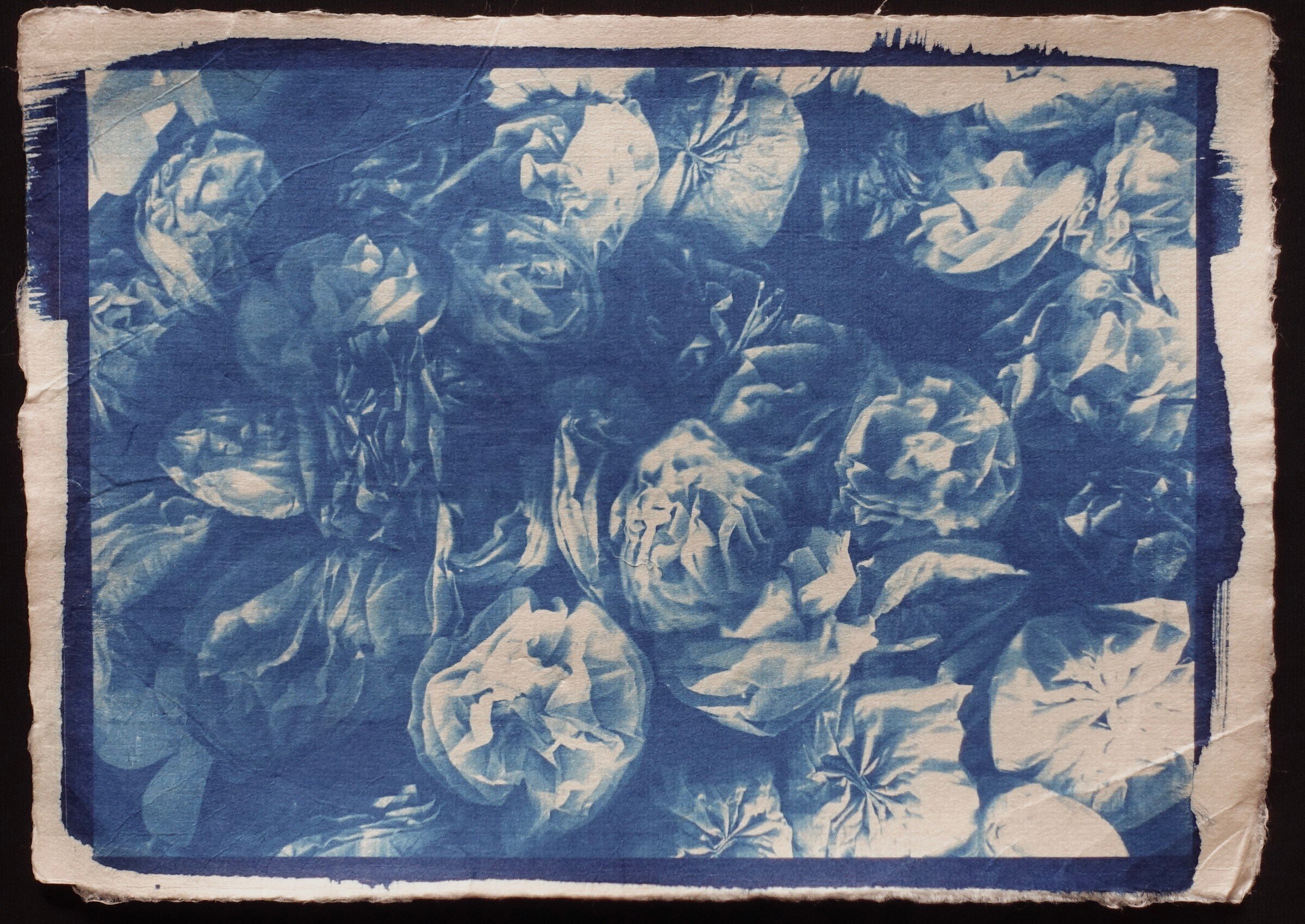 サイアノ（日光写真）に挑戦】プルシアンブルーの世界に宿るもの｜uma