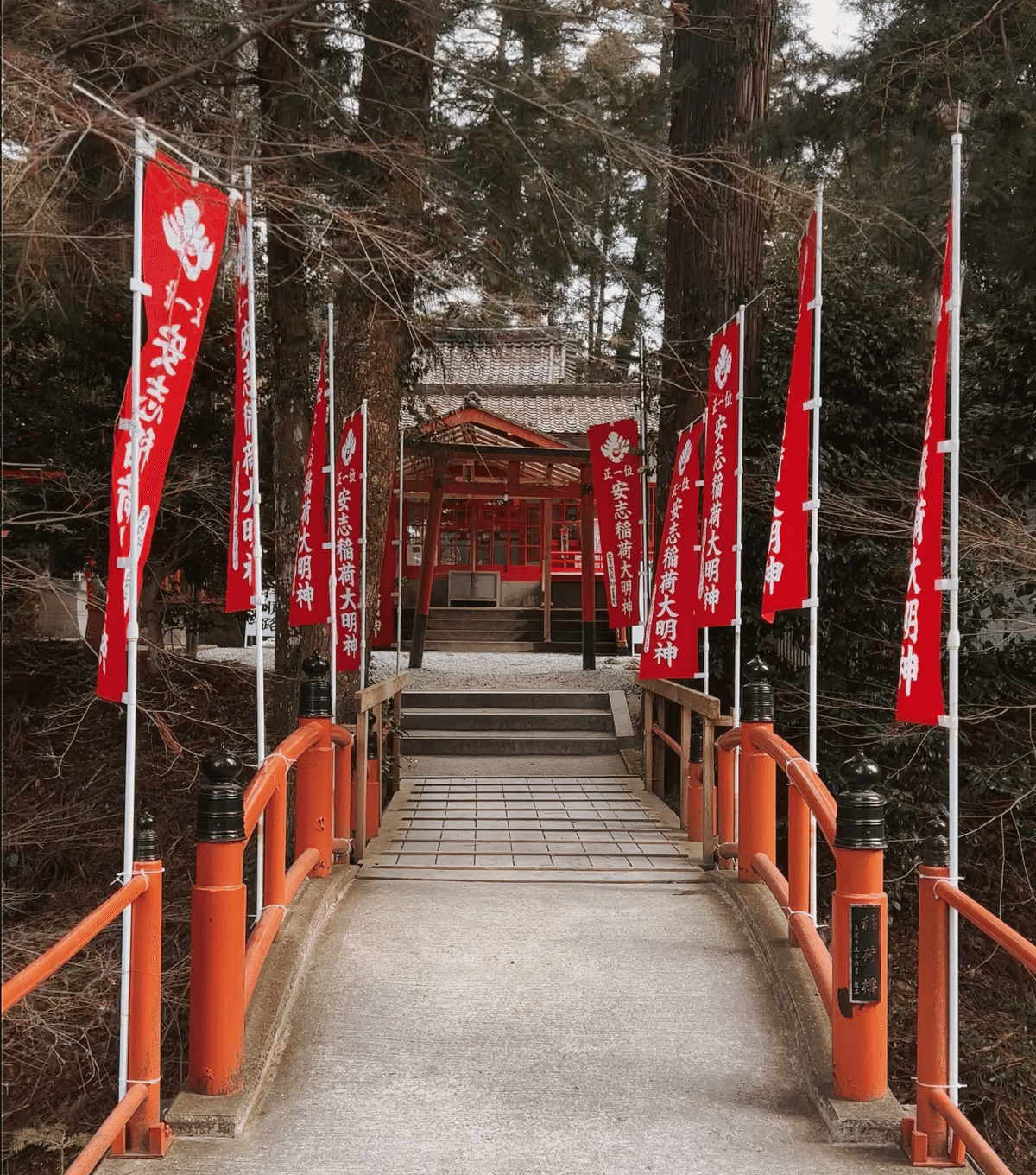 宍粟三社No.3【安志加茂神社】｜開眼への日々