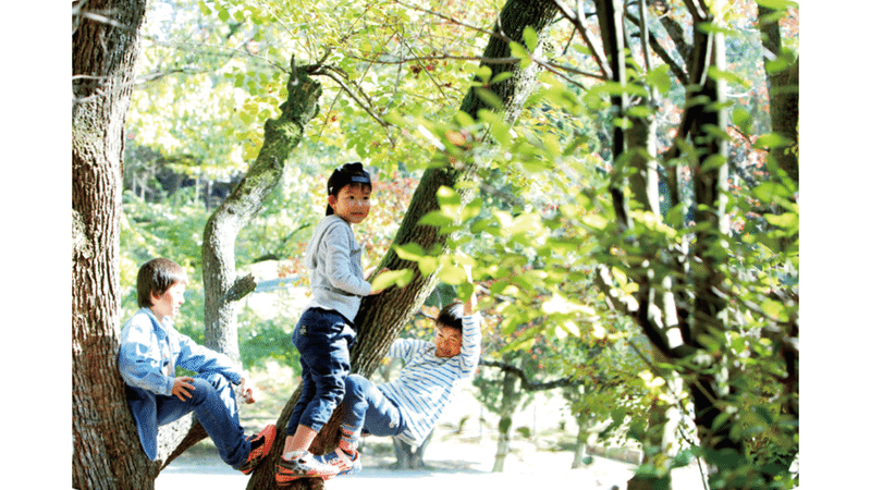 木々に登って遊ぶ子どもたち。