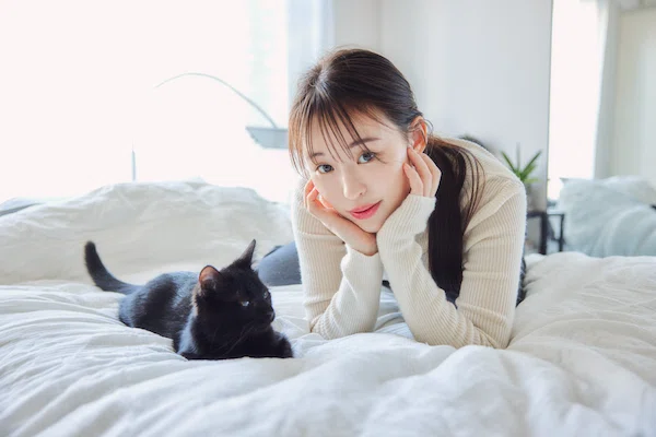 猫が来るまでAtoZ―初めて猫を飼う飼い主さんへ、猫を飼うまでの指南書
