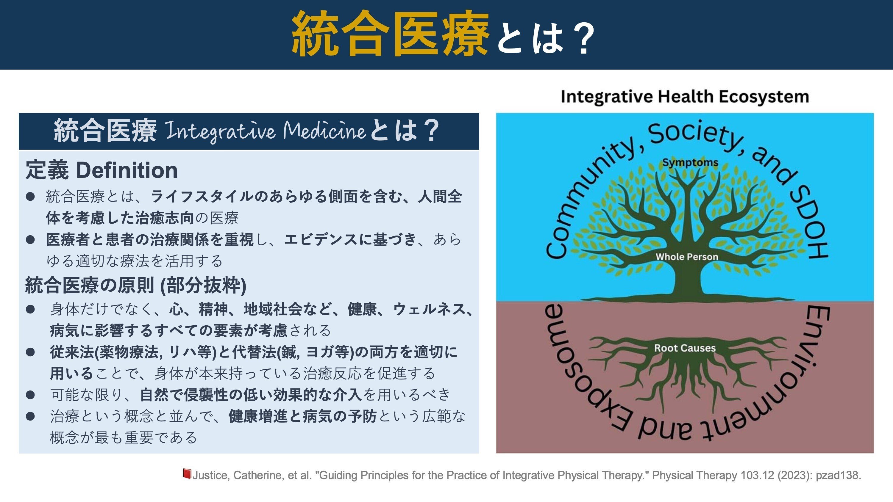医療・合理性・経験 バイロン・グッドの医療人類学講義 医療・合理性・経験 :バイロン・グッドの医療人類学講義