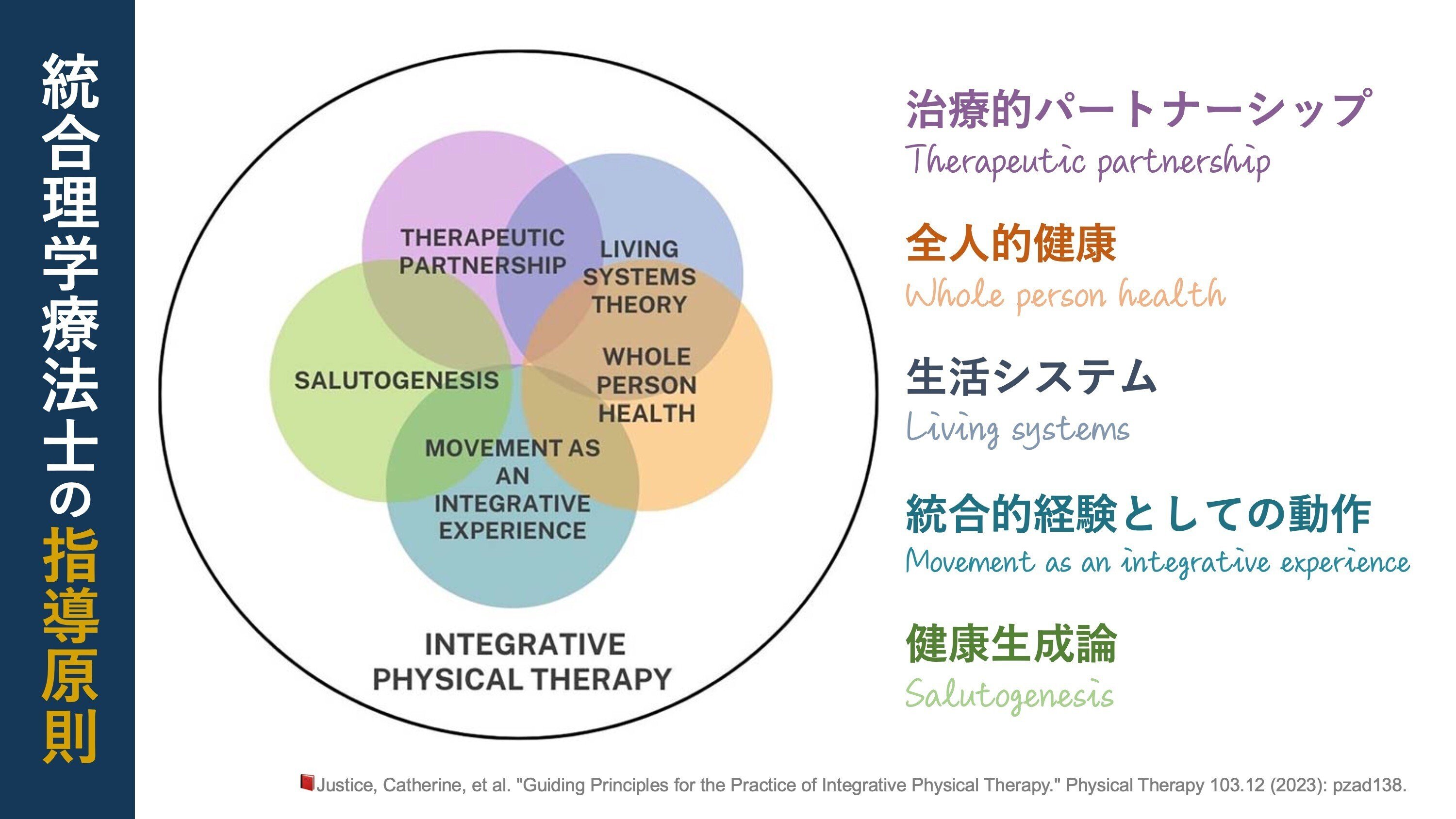 統合理学療法。概念と実践のための指針｜Super Human | 理学療法