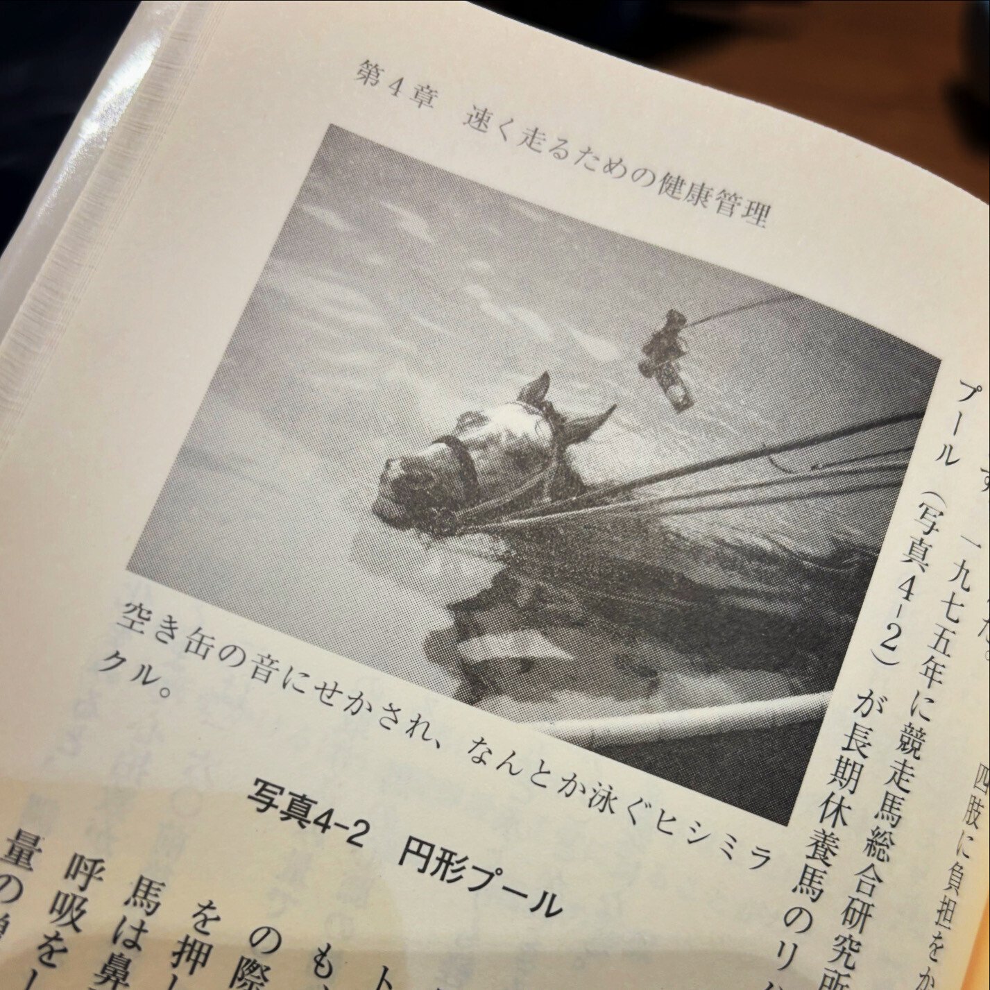 読書メモ】『競走馬の科学』(編:JRA競走馬総合研究所)|圭 読書メモ】『競走馬の科学』(編:JRA競走馬総合研究所)|圭