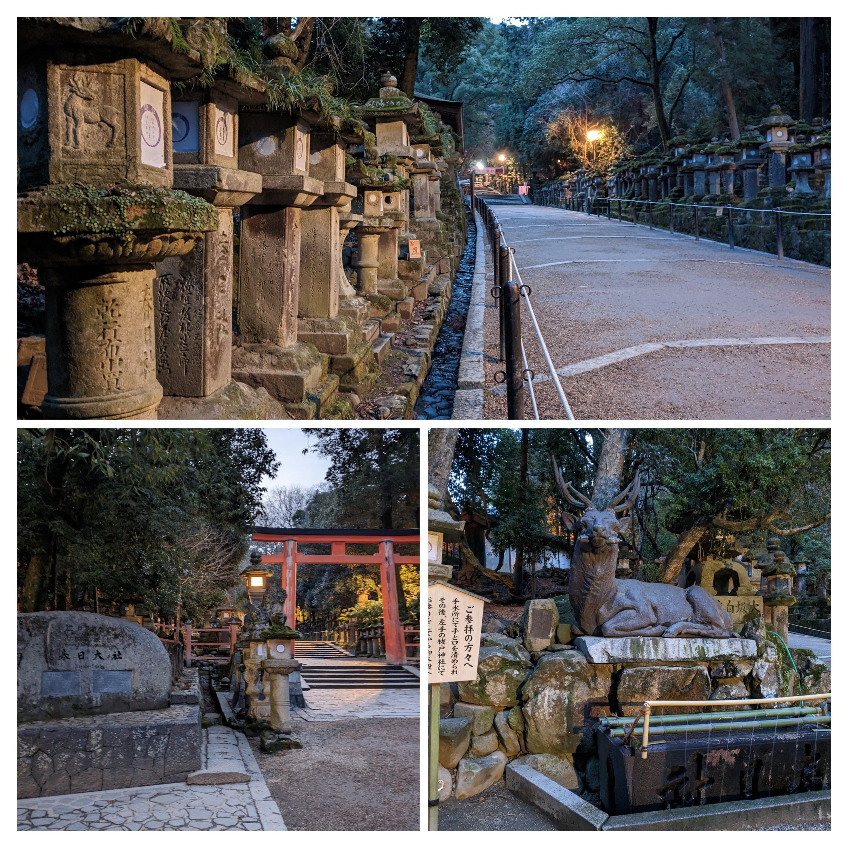 奈良にめざめる②法隆寺｜丸山直己