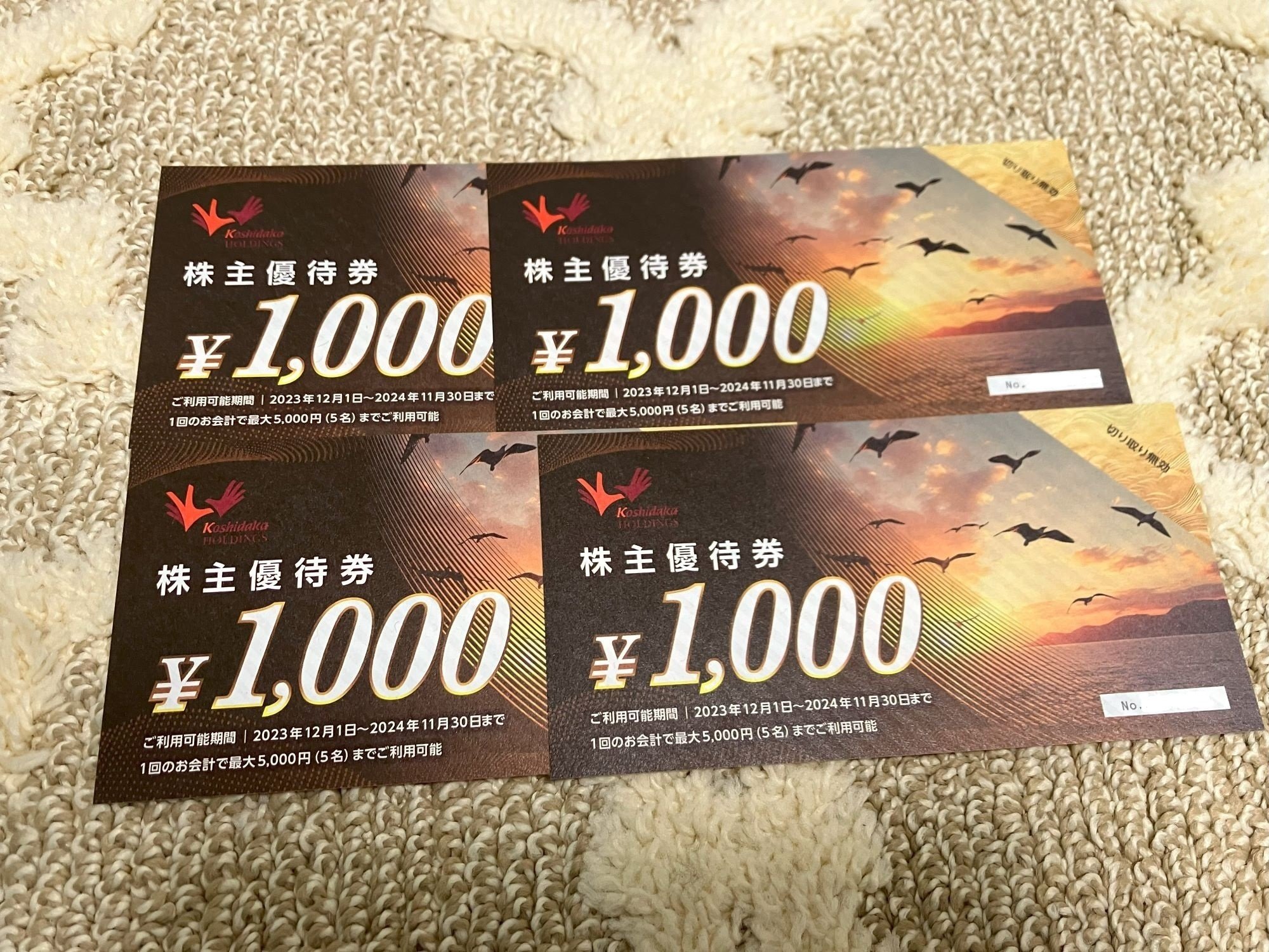 コシダカホールディングス 優待券5000円分 コシダカHD 株主優待券 5000円分(1000円券×5枚) 24.11.30