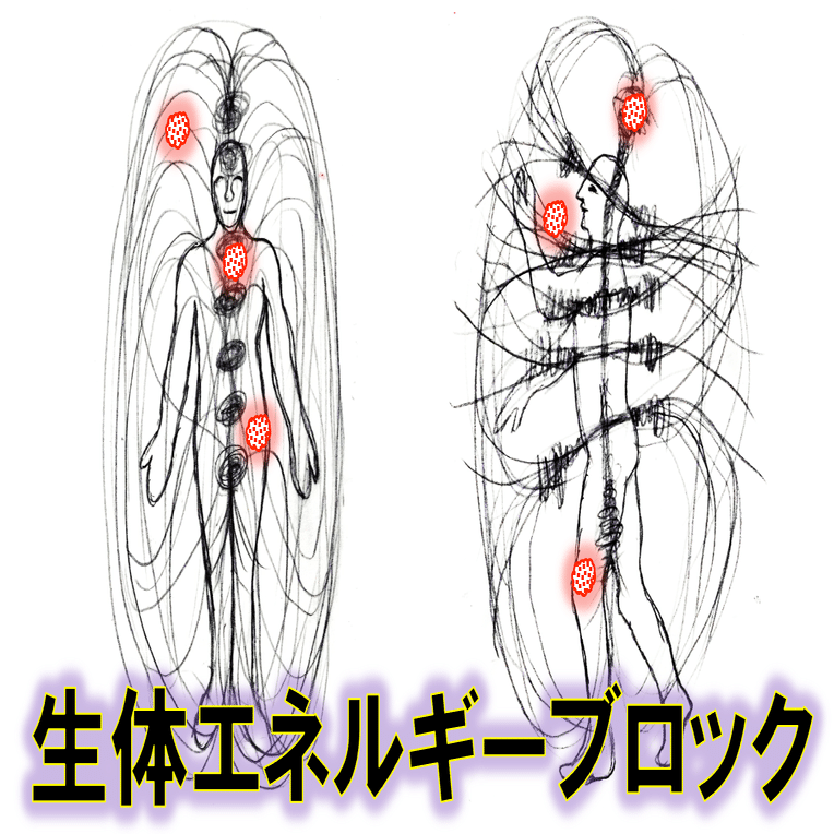 生体エネルギー調整で「治る」メカニズム？｜保井志之＠米国公認