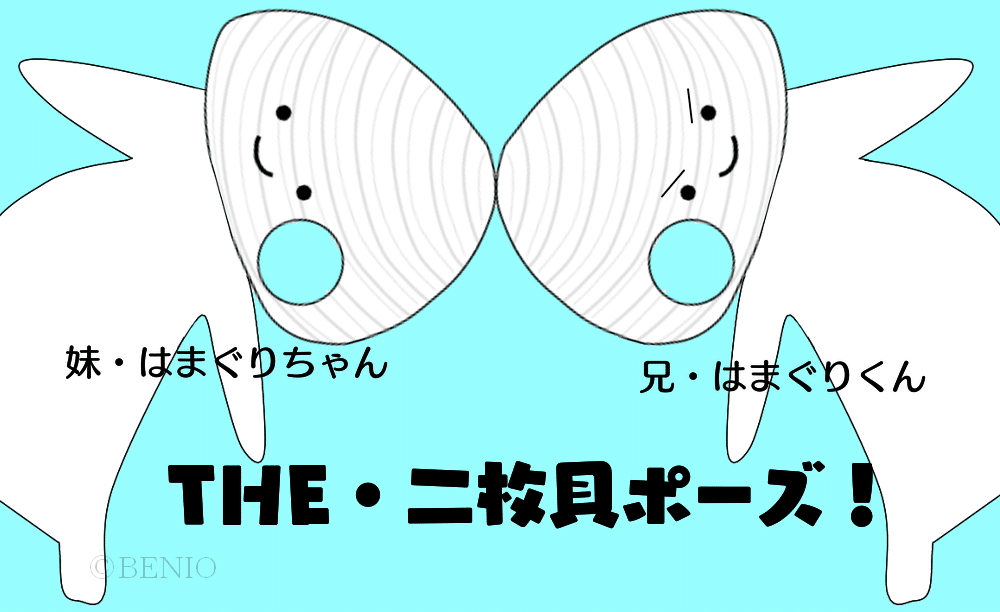 囲碁ミステリー】秀策の碁石は「エクボ石」か？｜囲碁フリー