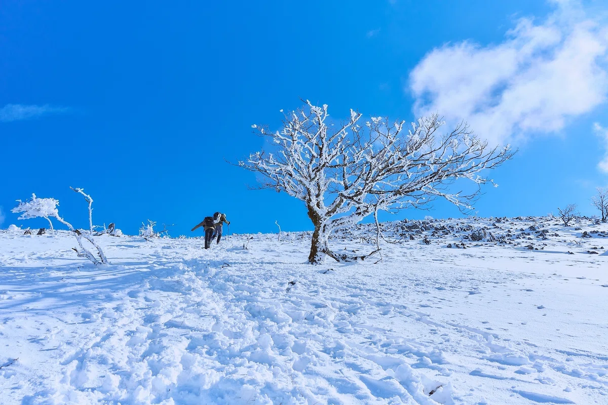 LA SPORTIVA 雪山用ダブルブーツ EU41 ばけれ