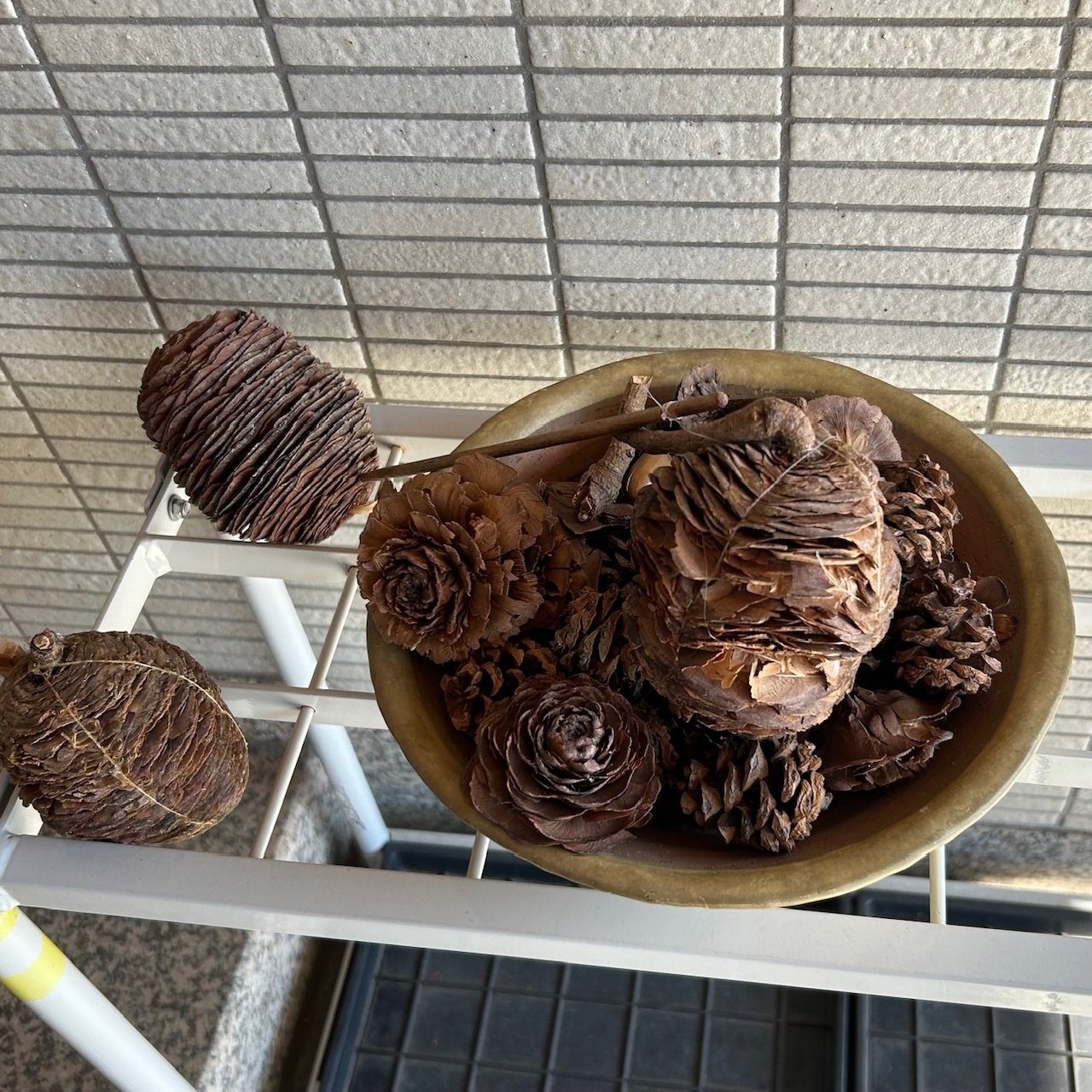 18【名所探訪】1 迎賓館赤坂離宮｜ギリギリMENSA会員くらたのび子