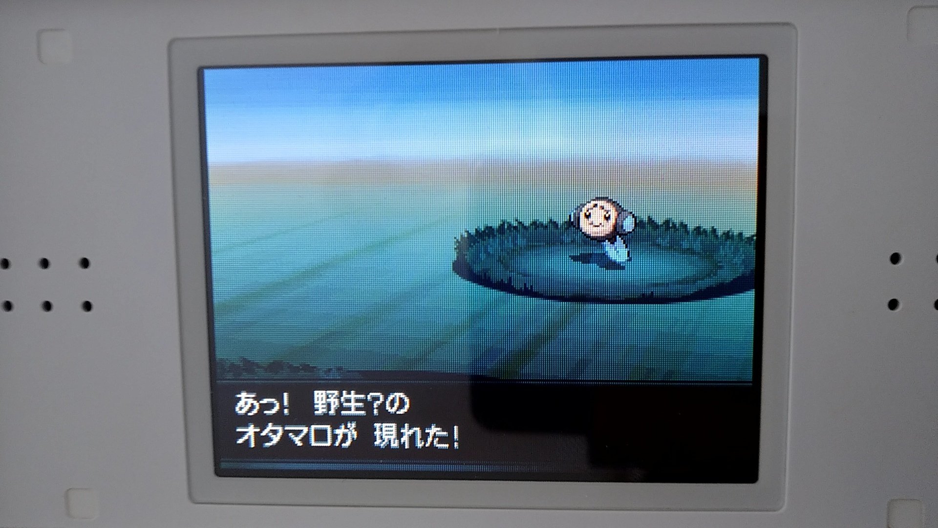 Nのポケモンを集めよう|夢咲ハニワ Nのポケモンを集めよう|夢咲ハニワ