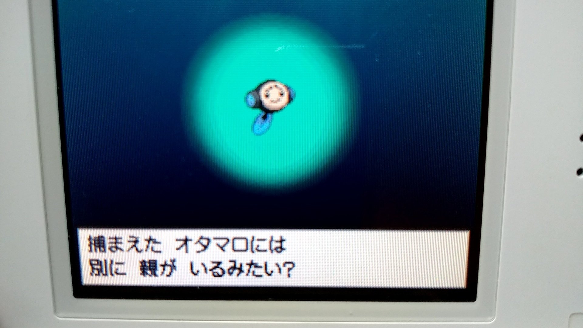 Nのポケモンを集めよう|夢咲ハニワ Nのポケモンを集めよう|夢咲ハニワ