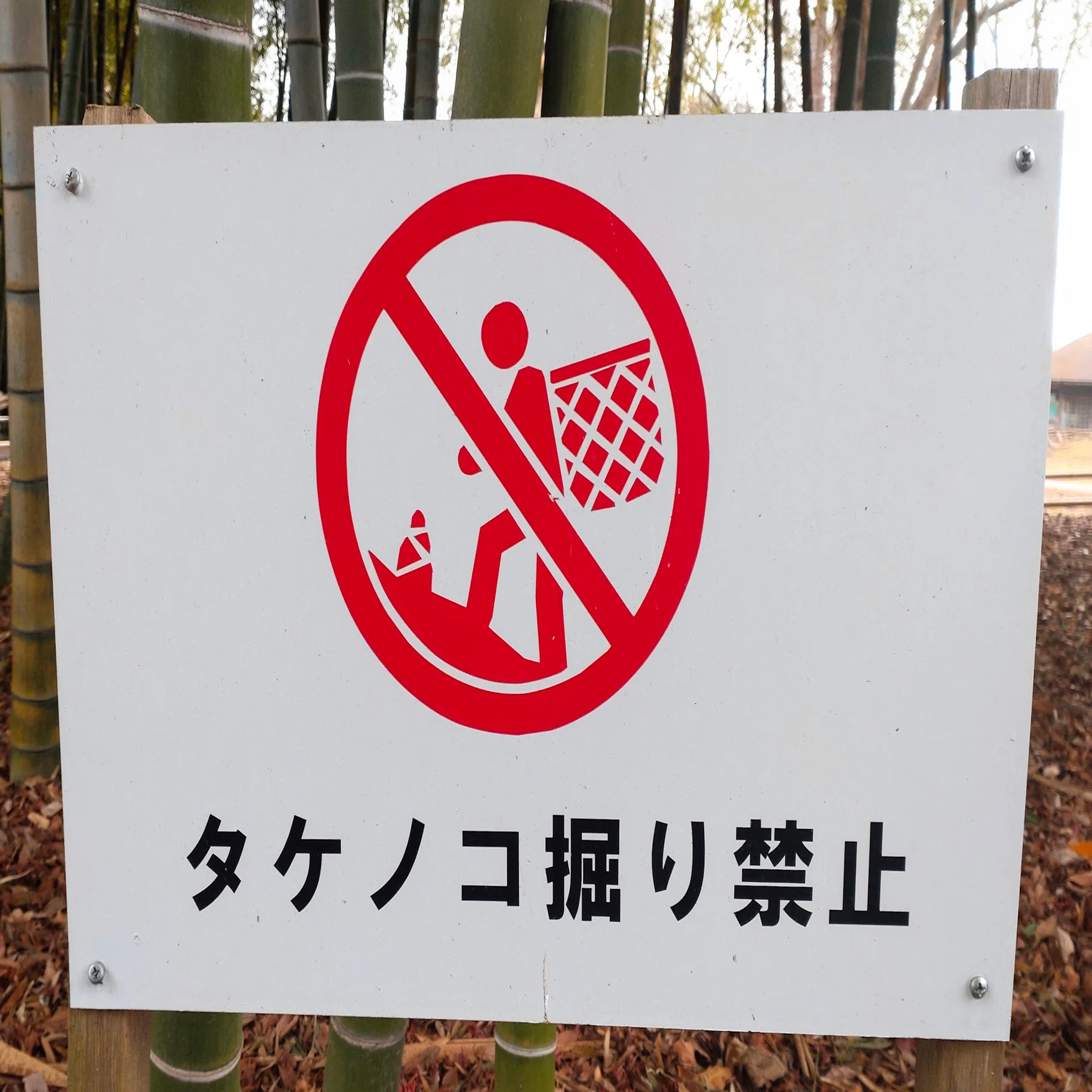 看板 ここ最近の気に入った看板たち｜y.shima