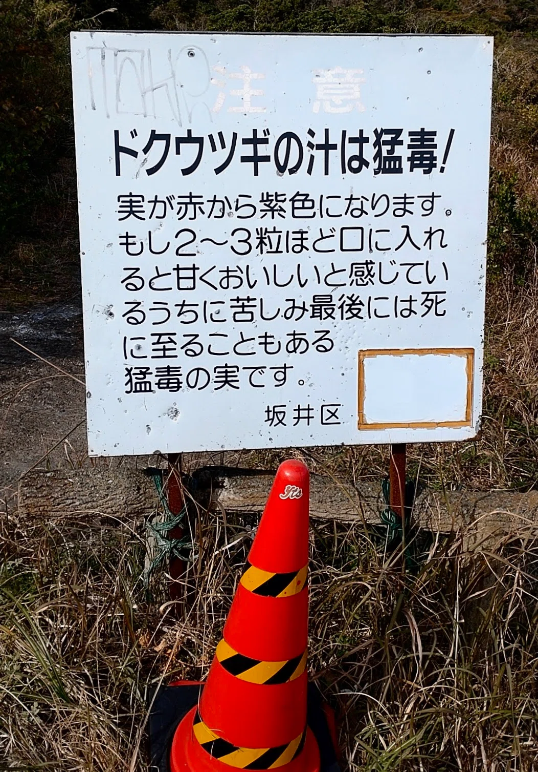 ここ最近の気に入った看板たち｜y.shima