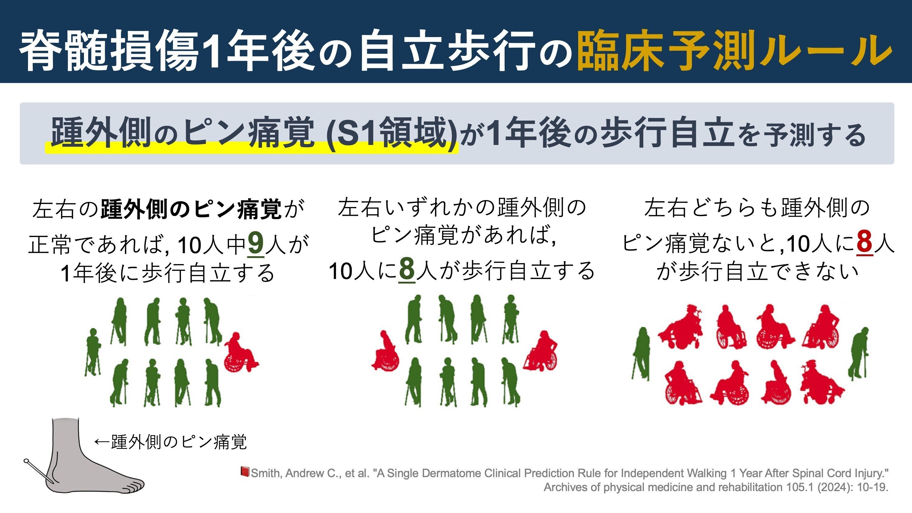 脊髄損傷1年後の歩行自立を予測する単一領域のピン痛覚を用いた臨床予測ルール｜Super Human | 理学療法士／保健学博士 Ph.D.