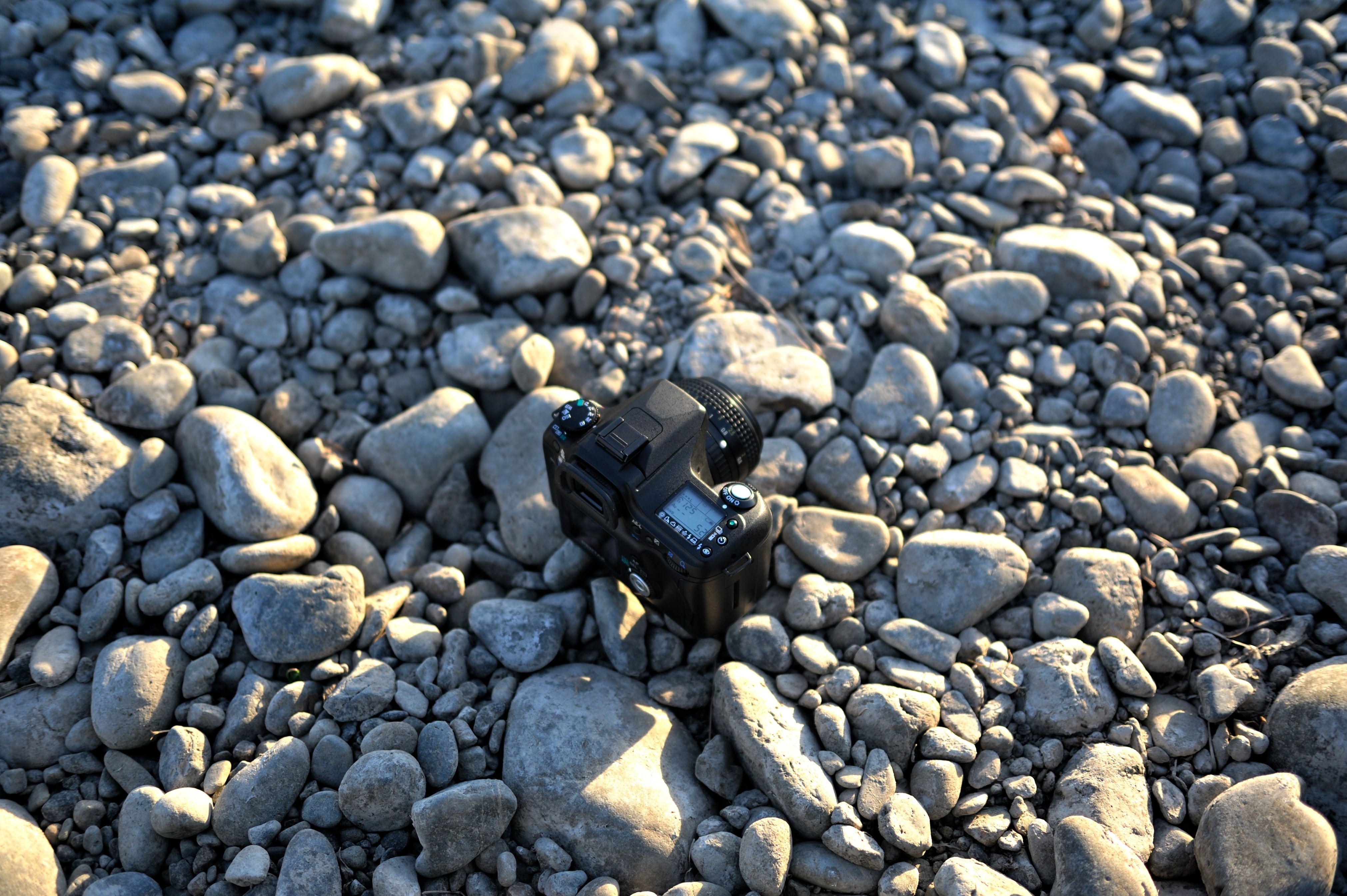 Nikon D700という一眼レフ|Sven. Nikon D700という一眼レフ|Sven.