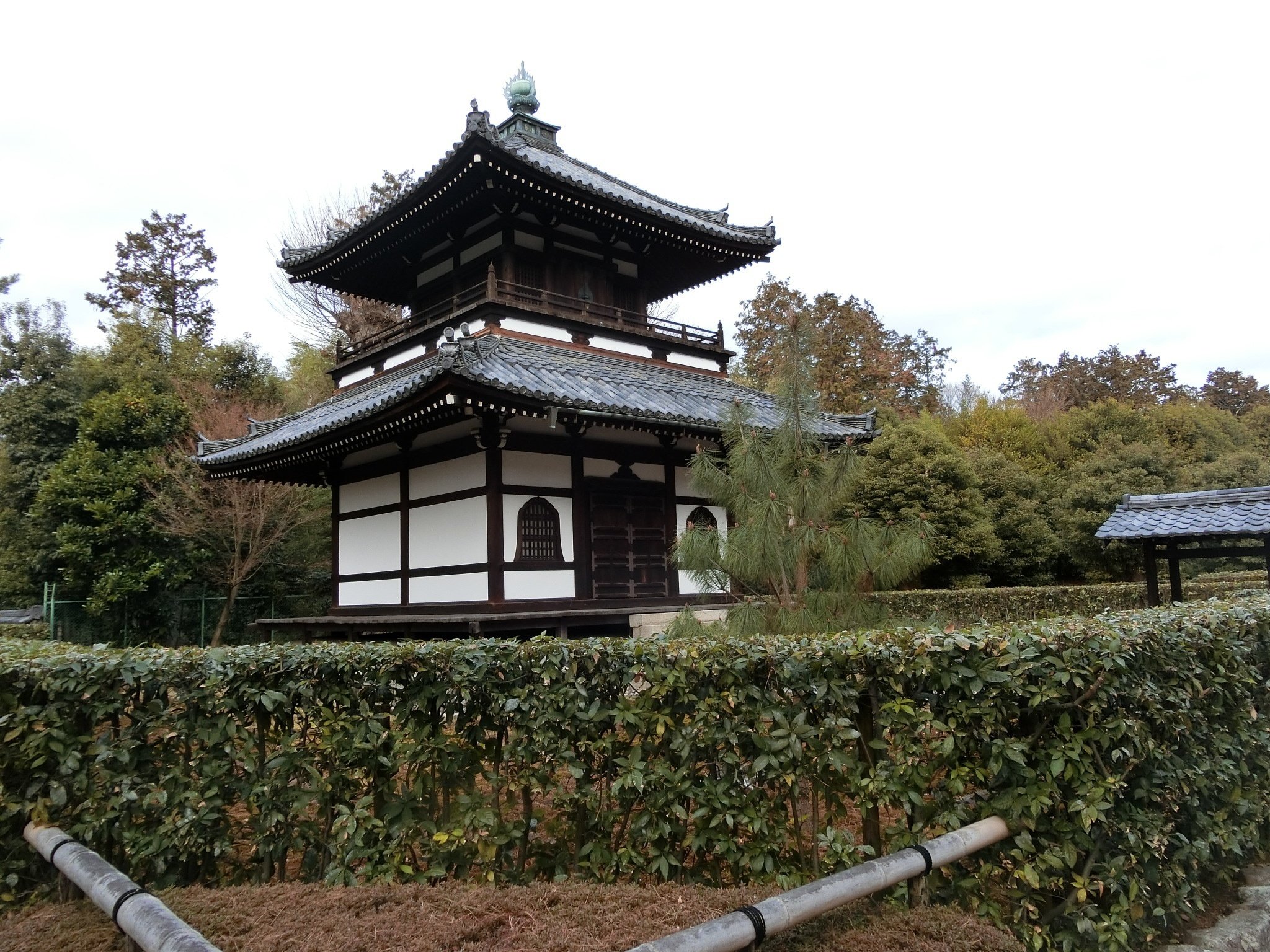 通常非公開!金閣寺/銀閣寺の本寺「相国寺」若冲/応挙/足利の威信/京都五山【京都二条城・御所シリーズ/京都御所シリーズ/京都ツウシリーズ】｜やんまあ