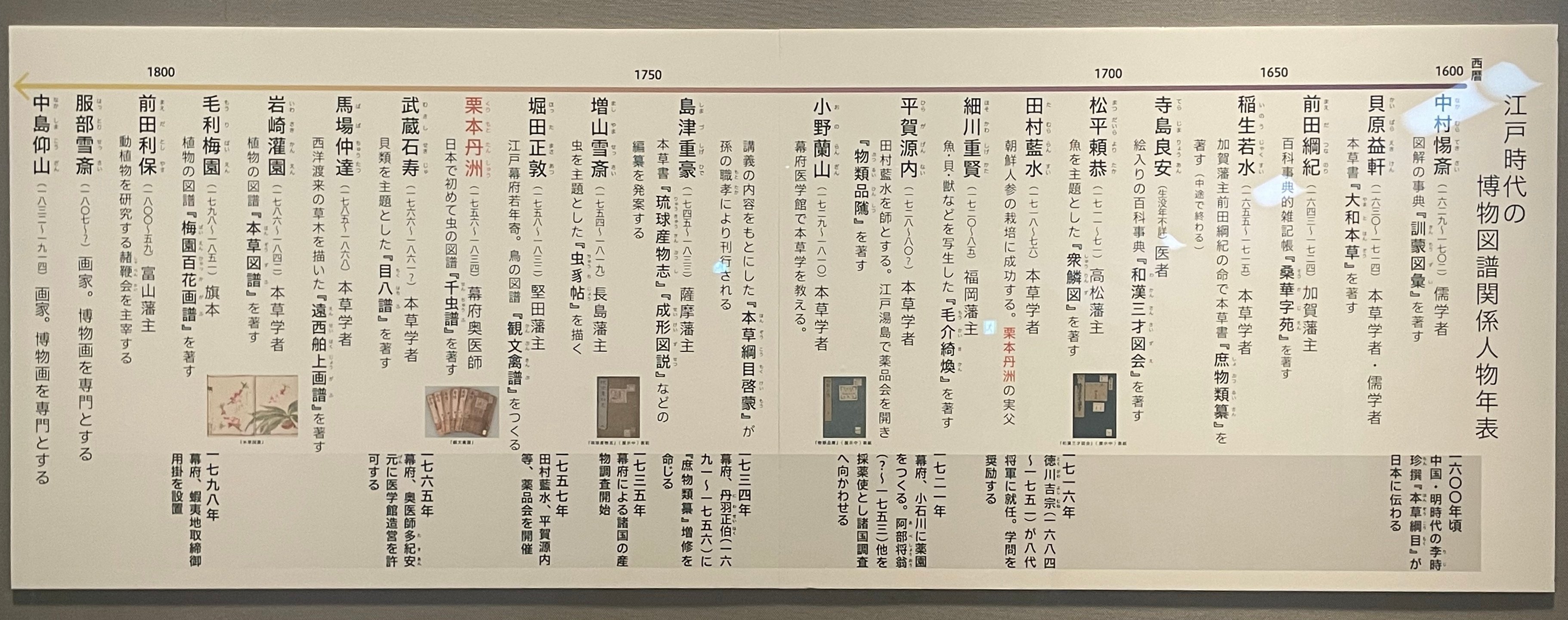 江戸時代の図譜と岡本秋暉の《四季花鳥図屏風》|かわかわ 江戸時代の図譜と岡本秋暉の《四季花鳥図屏風》|かわかわ
