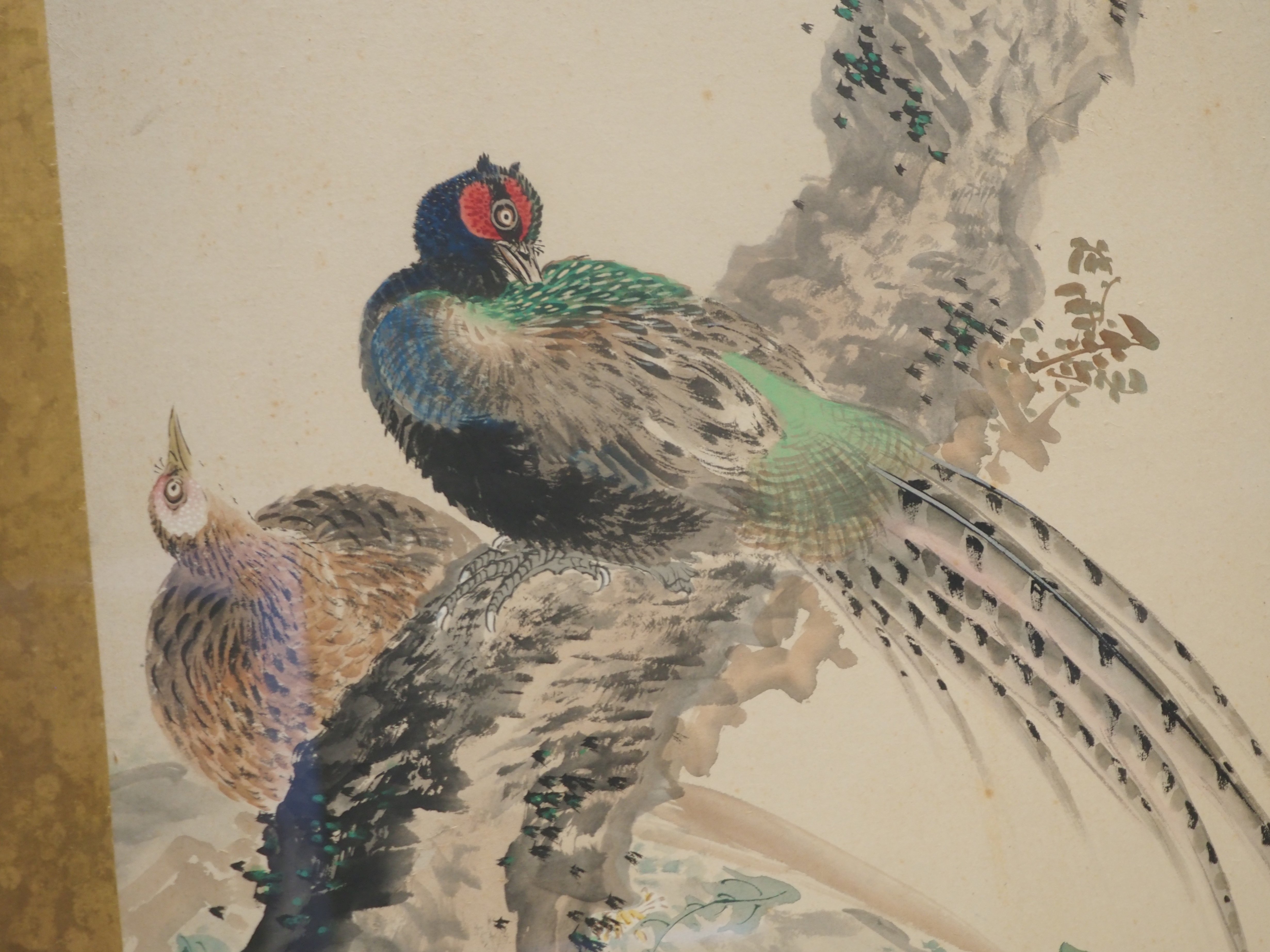 江戸時代の図譜と岡本秋暉の《四季花鳥図屏風》|かわかわ 江戸時代の図譜と岡本秋暉の《四季花鳥図屏風》|かわかわ