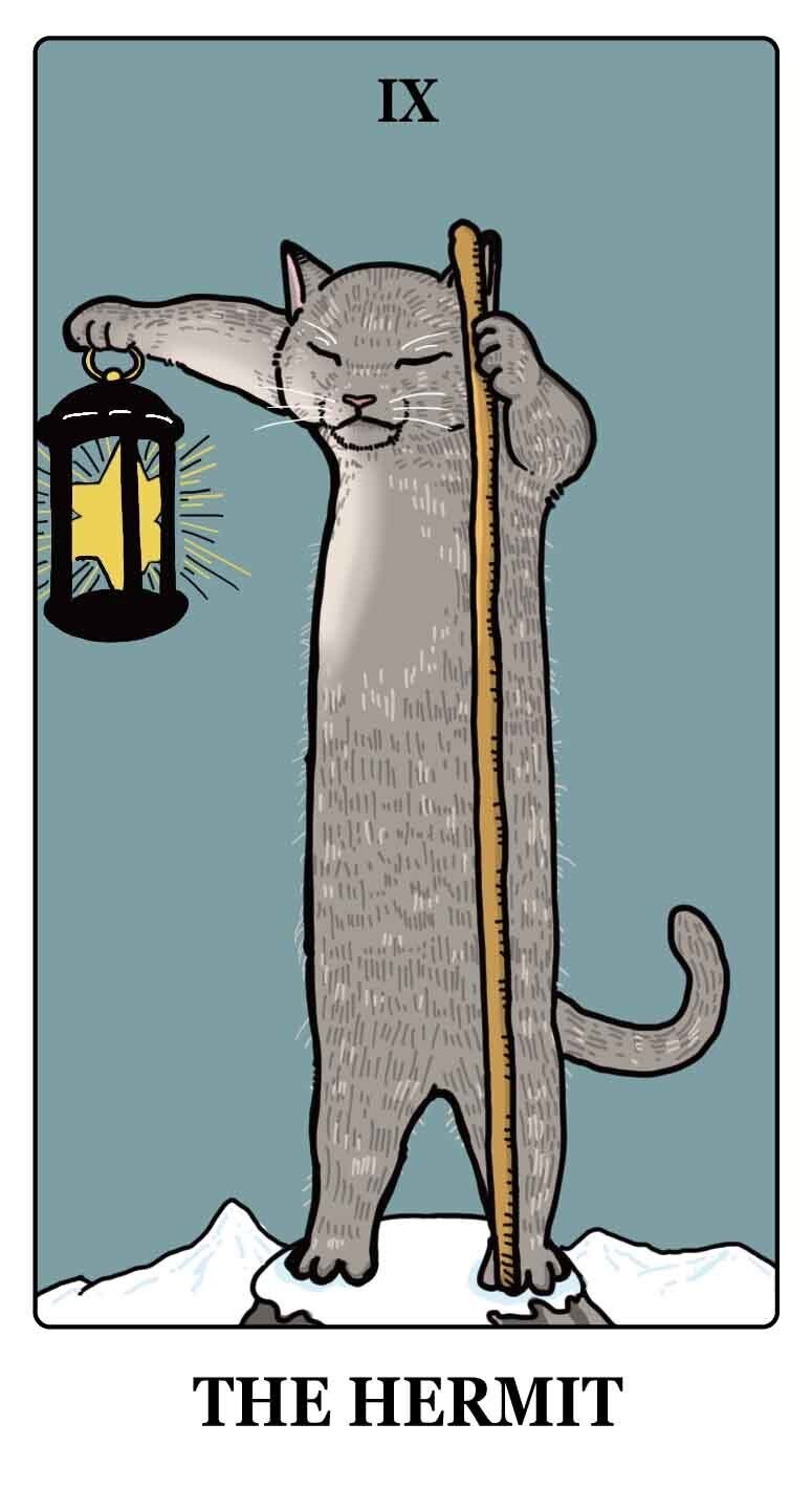 猫タロット ｜白熊便利軒 jose