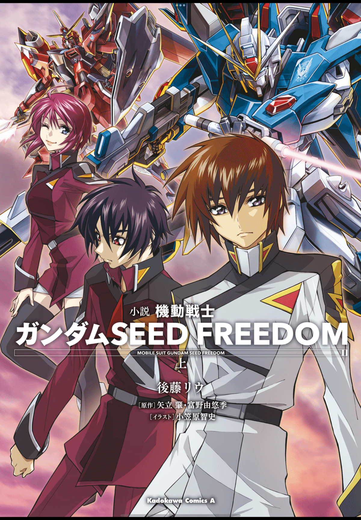 Yahoo!オークション - ガンダムSEED DESTINY シン・アスカ レイ
