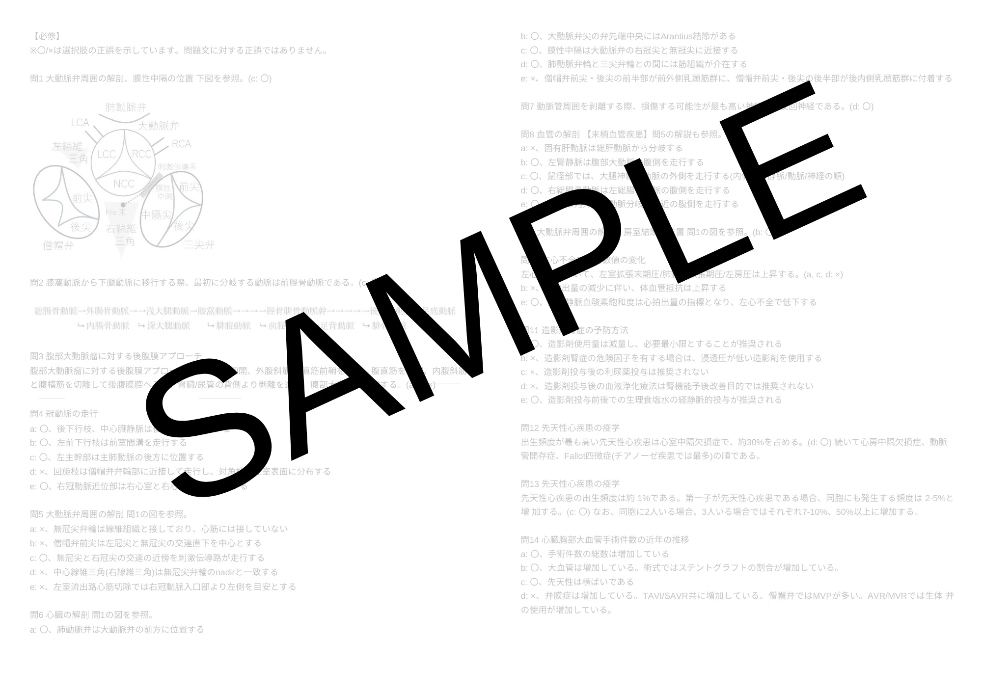 超効率】心臓血管外科専門医試験対策 過去問解説集(2016-2020年)|心臓 超効率】心臓血管外科専門医試験対策 過去問解説集(2016-2020年)|心臓