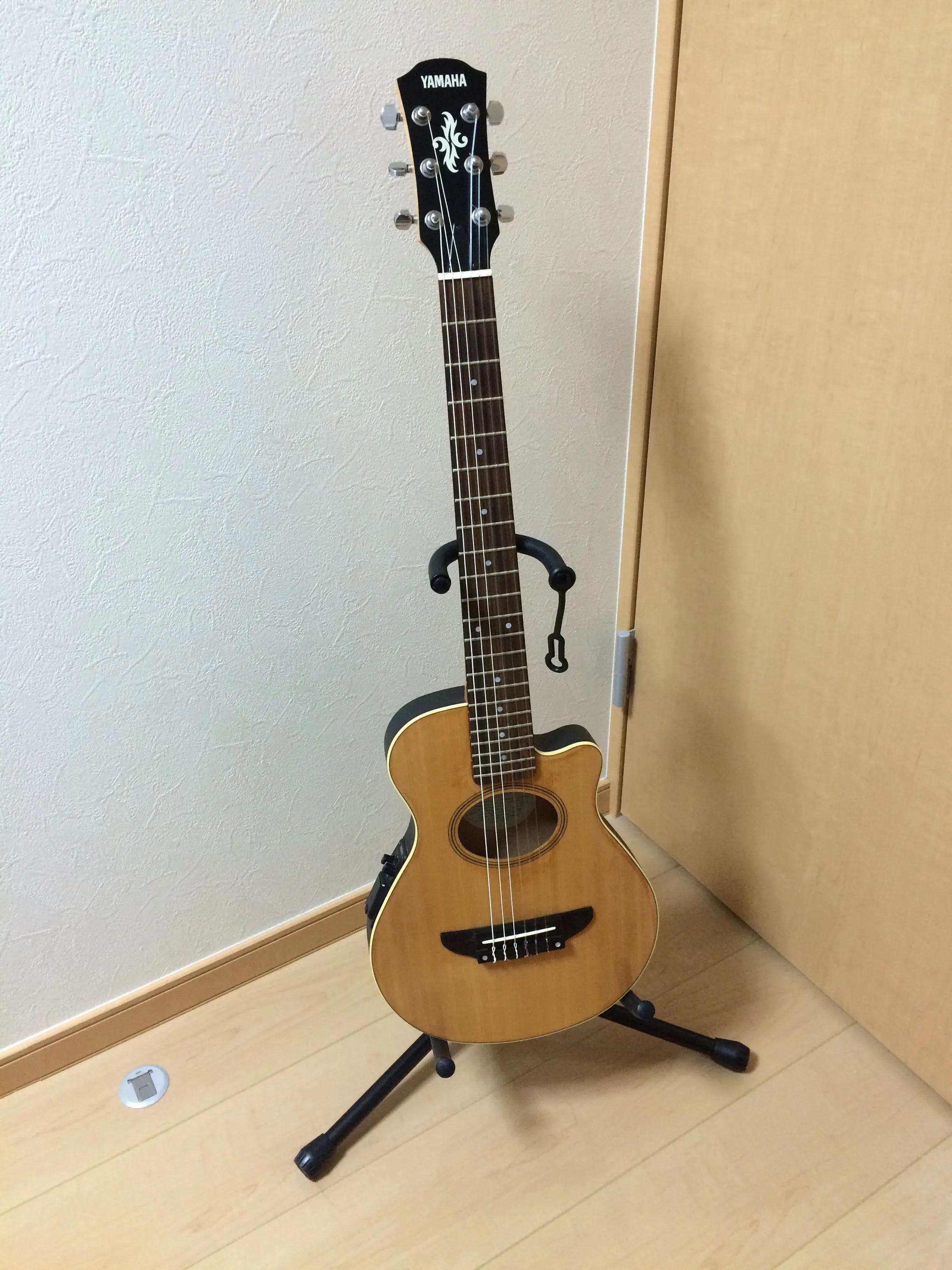 Fernandes ZO-3｜清水Liff竹菜