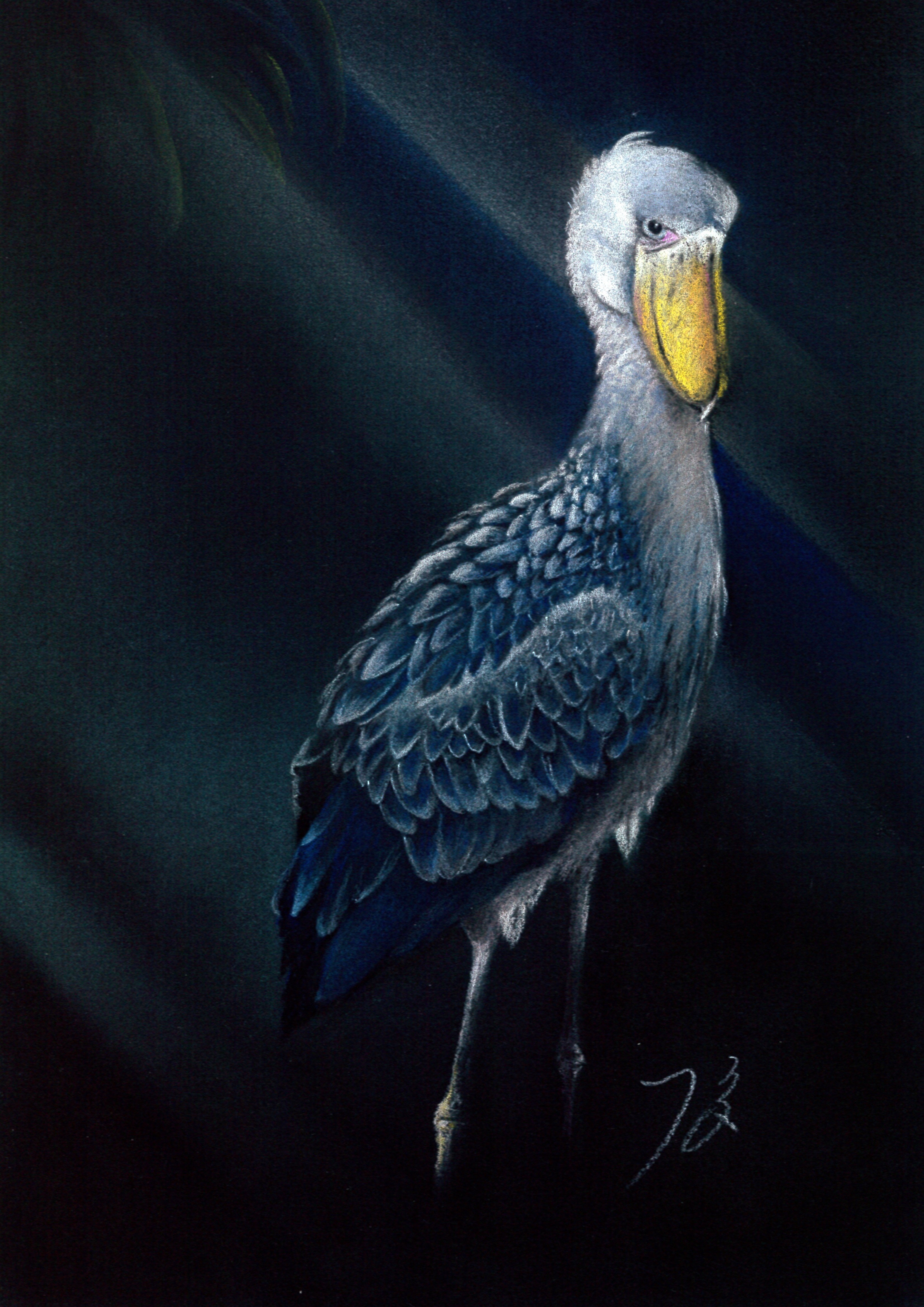 ハシビロコウ画を描きまくり｜てぃーが Pastel Artist