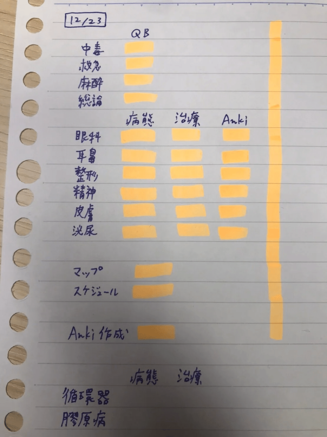 医師国試】やってよかったこと & 学習記録81日の総まとめ