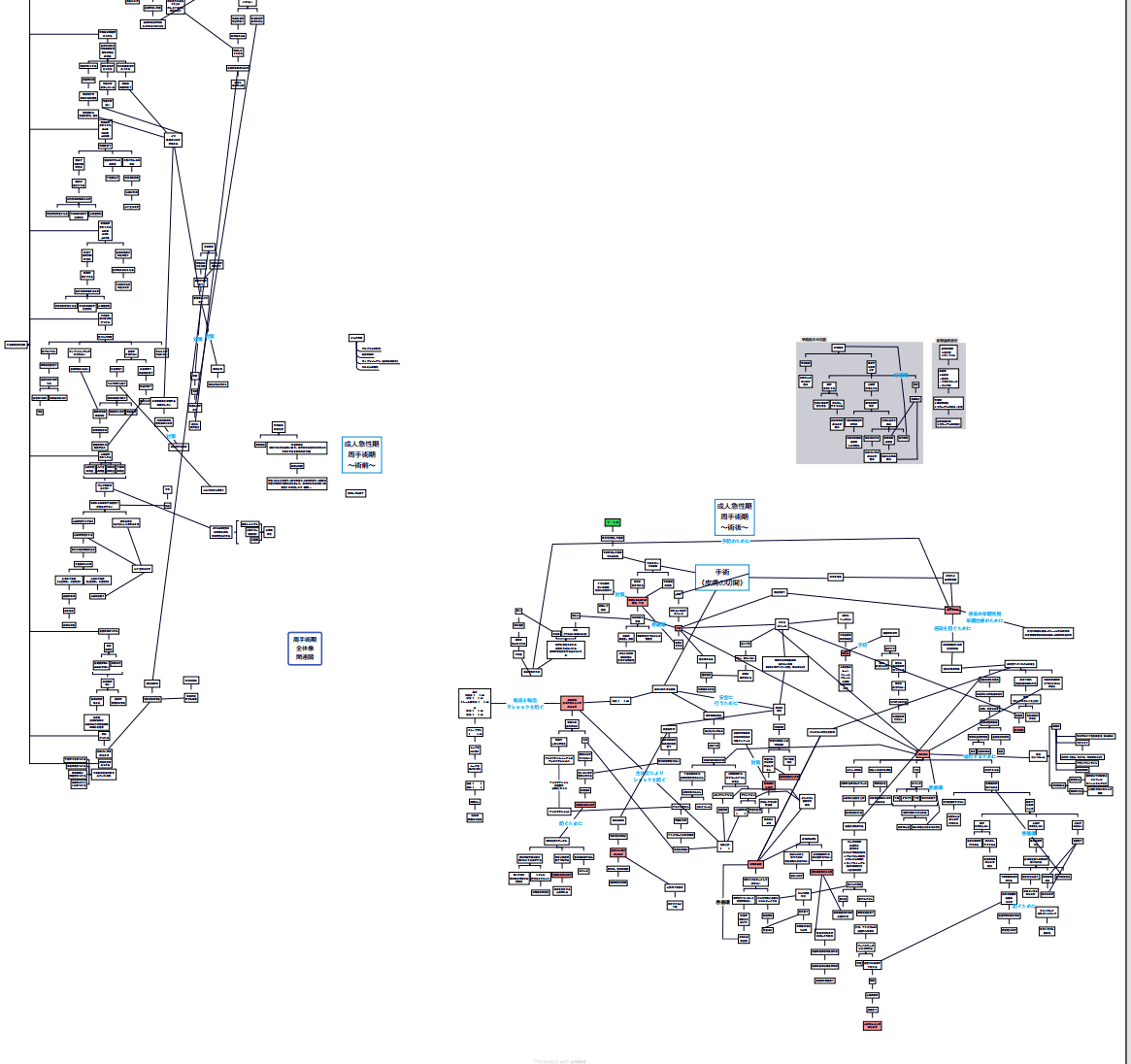術前術後 周手術期 関連図｜うらナース＠看護過程の達人【coconalaにて