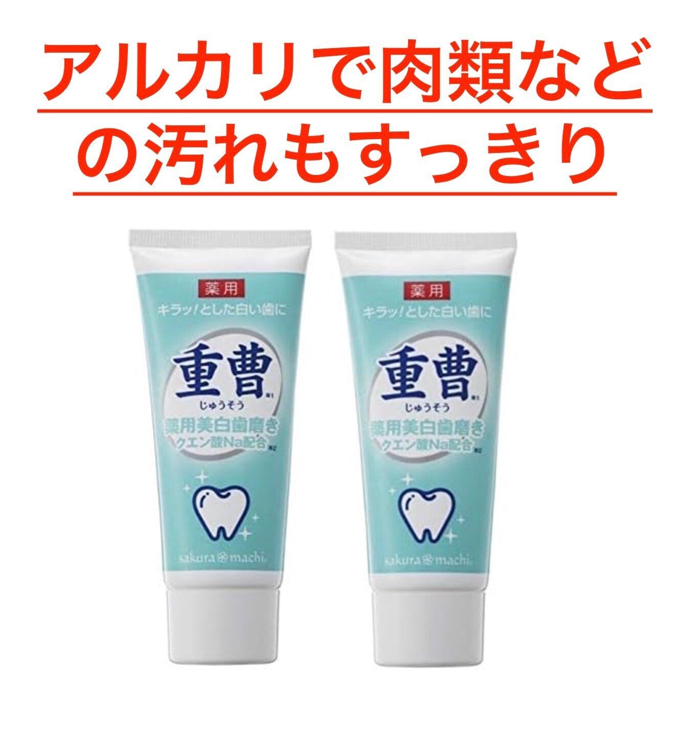 肉類の汚れもおとす歯磨き粉｜日本一周、世界一周 もふP
