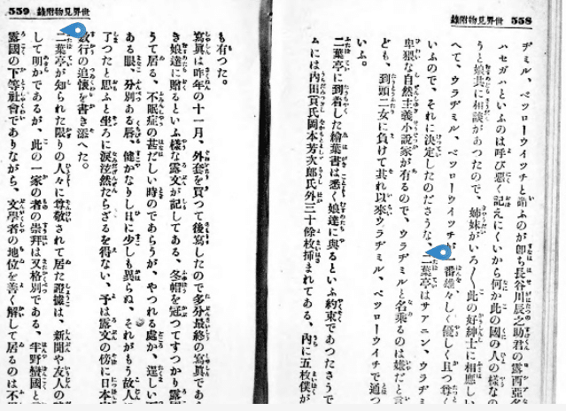 鉄地丸型二葉葵図透かし越前住記内作