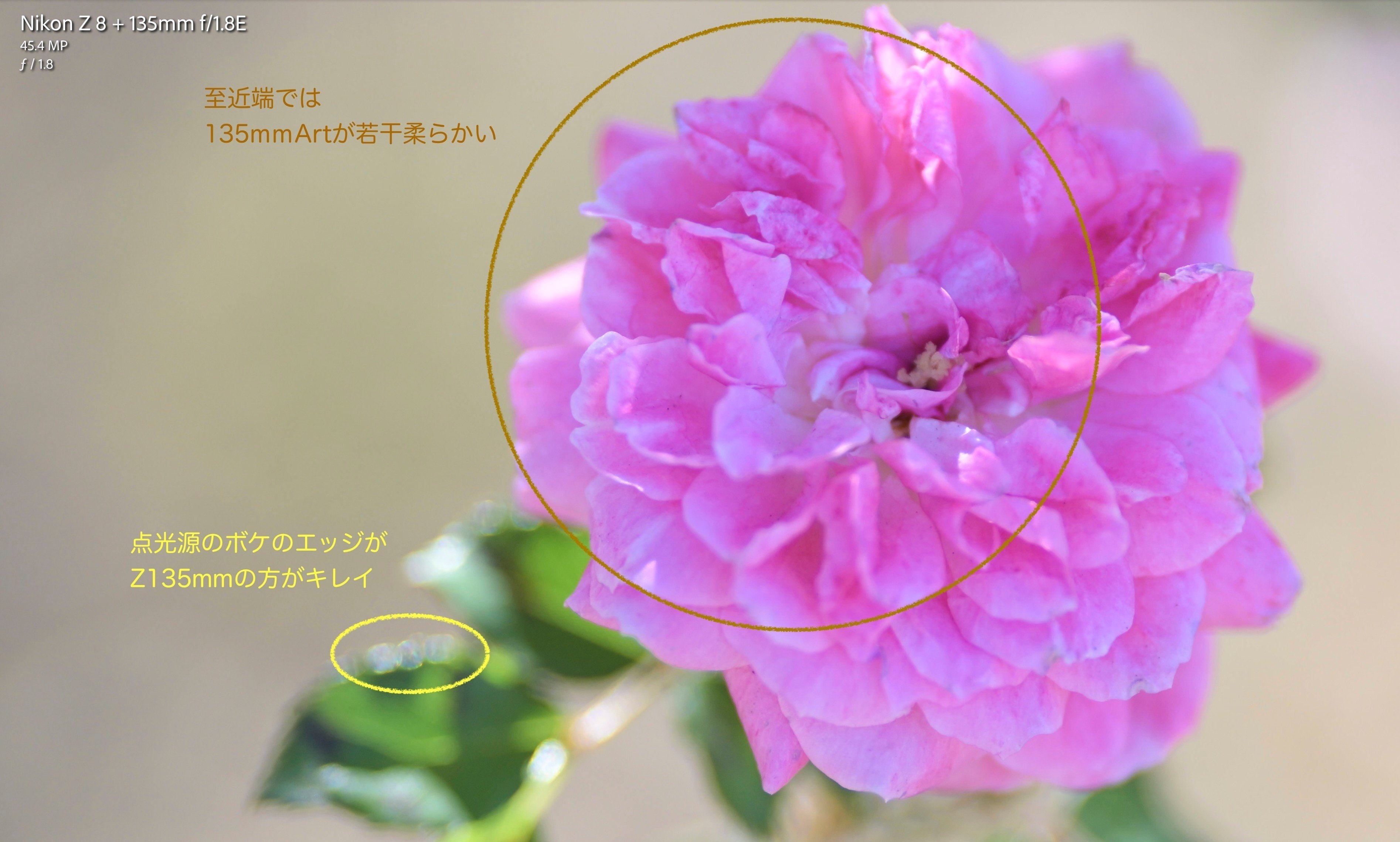 v.522|豊田慶記 v.522|豊田慶記