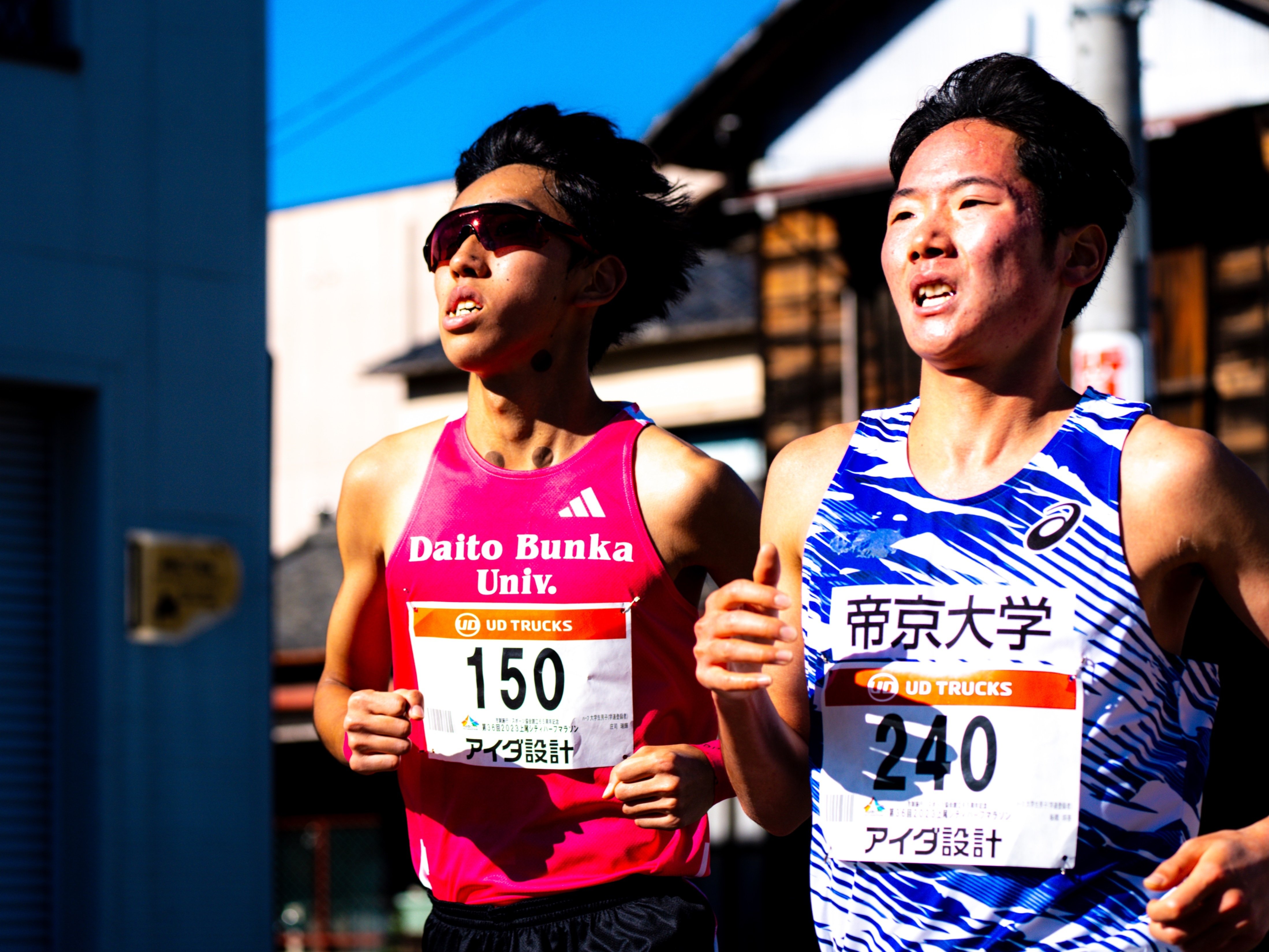 ライトグリーン2024の展望と考察｜ハイテンコーギー