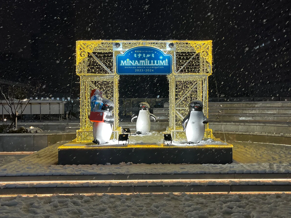 I want the vulnerability of new transit systems to snow to be common ...