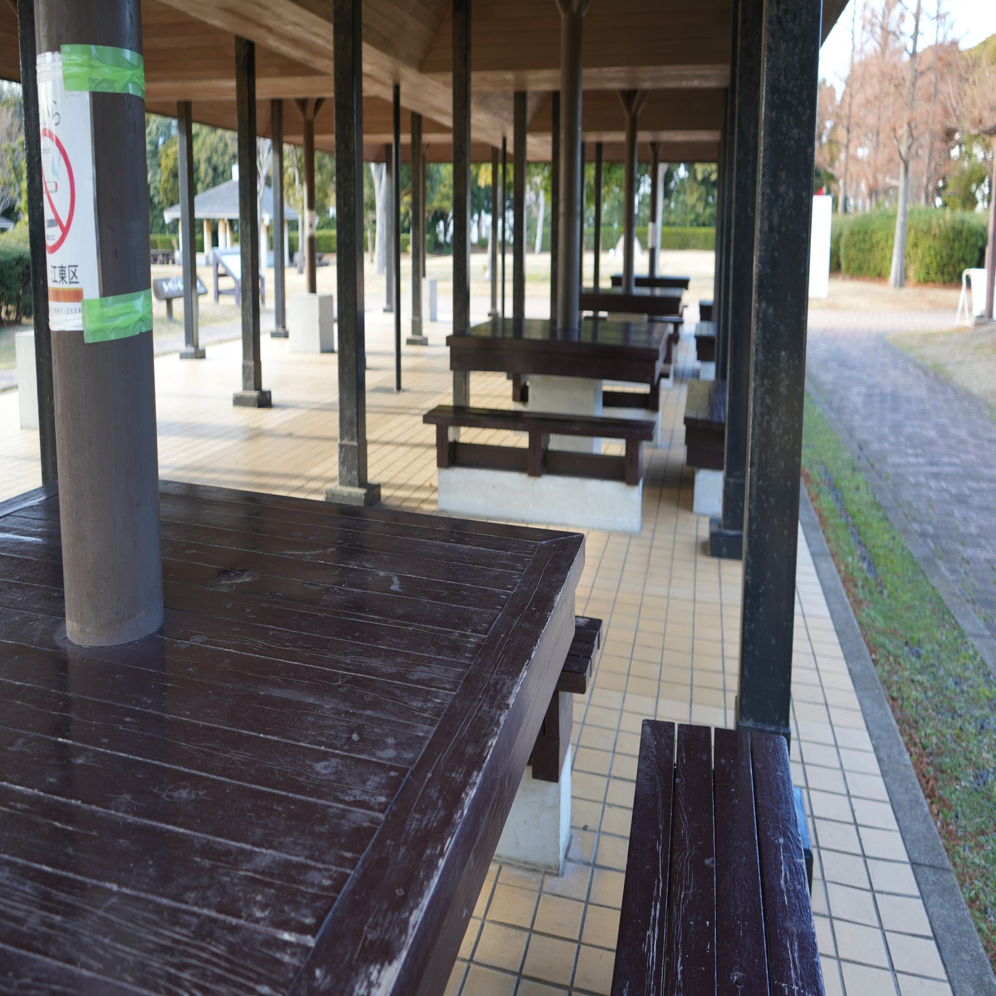 若洲公園キャンプ場｜macaのひとり遊び