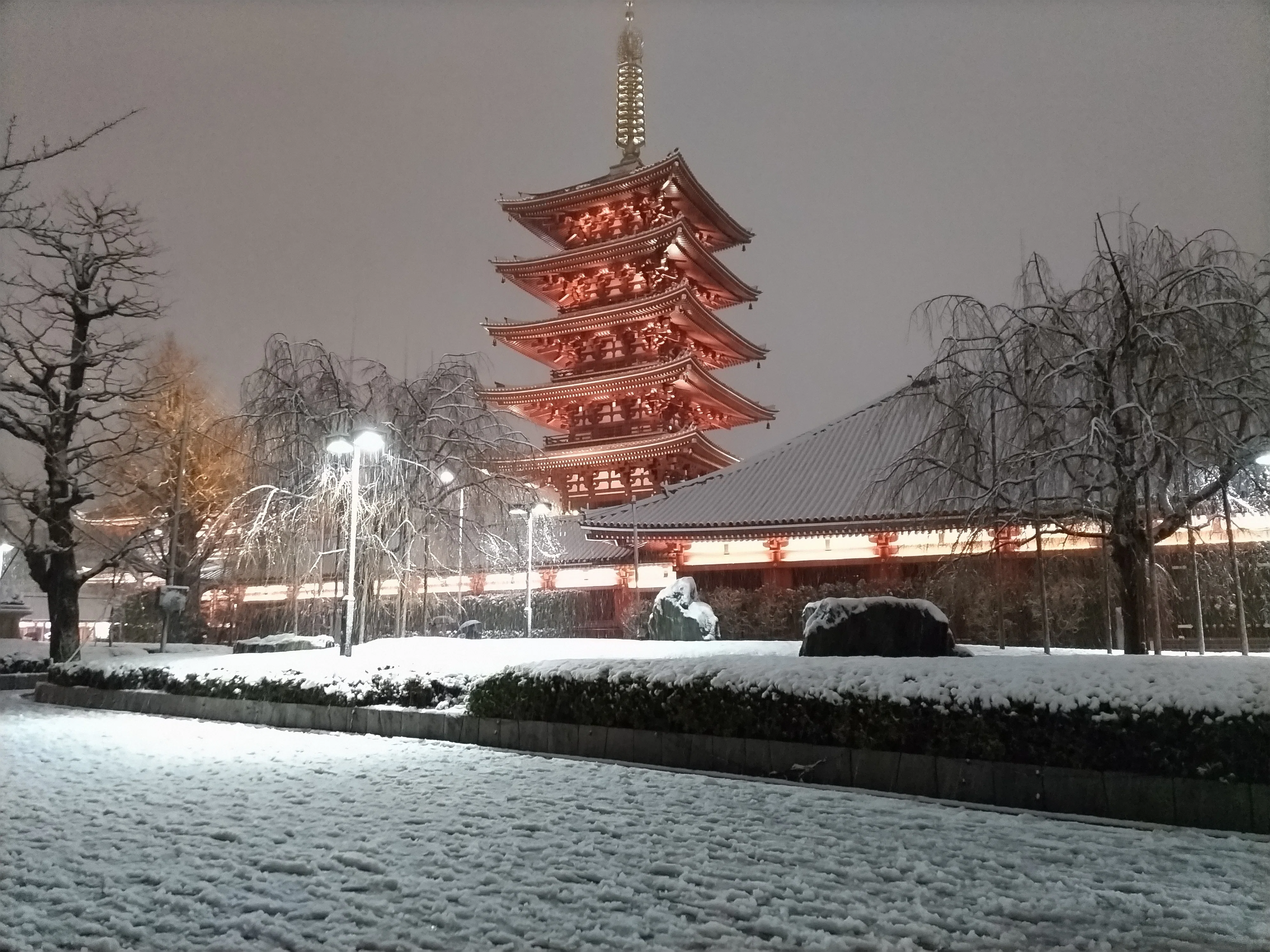 観音の功徳の雪のつもるかな〜浅草随想〜｜唐崎夜雨