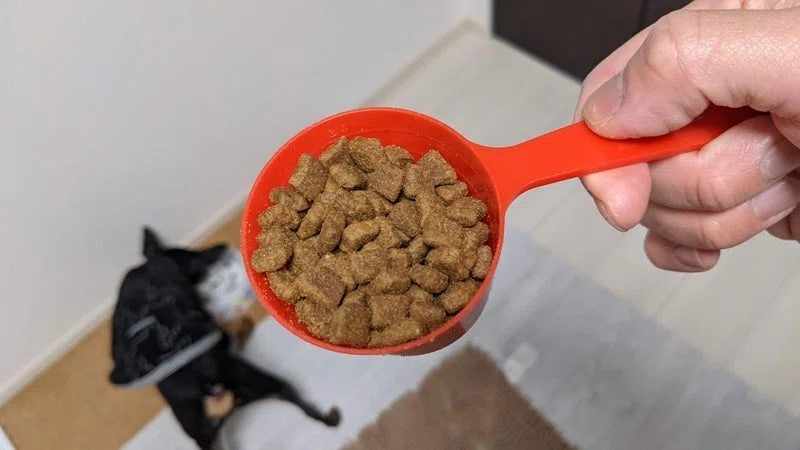 PURINA PRO PLAN ドッグフード 2.5kg チキン ドッグフード PURINA PRO
