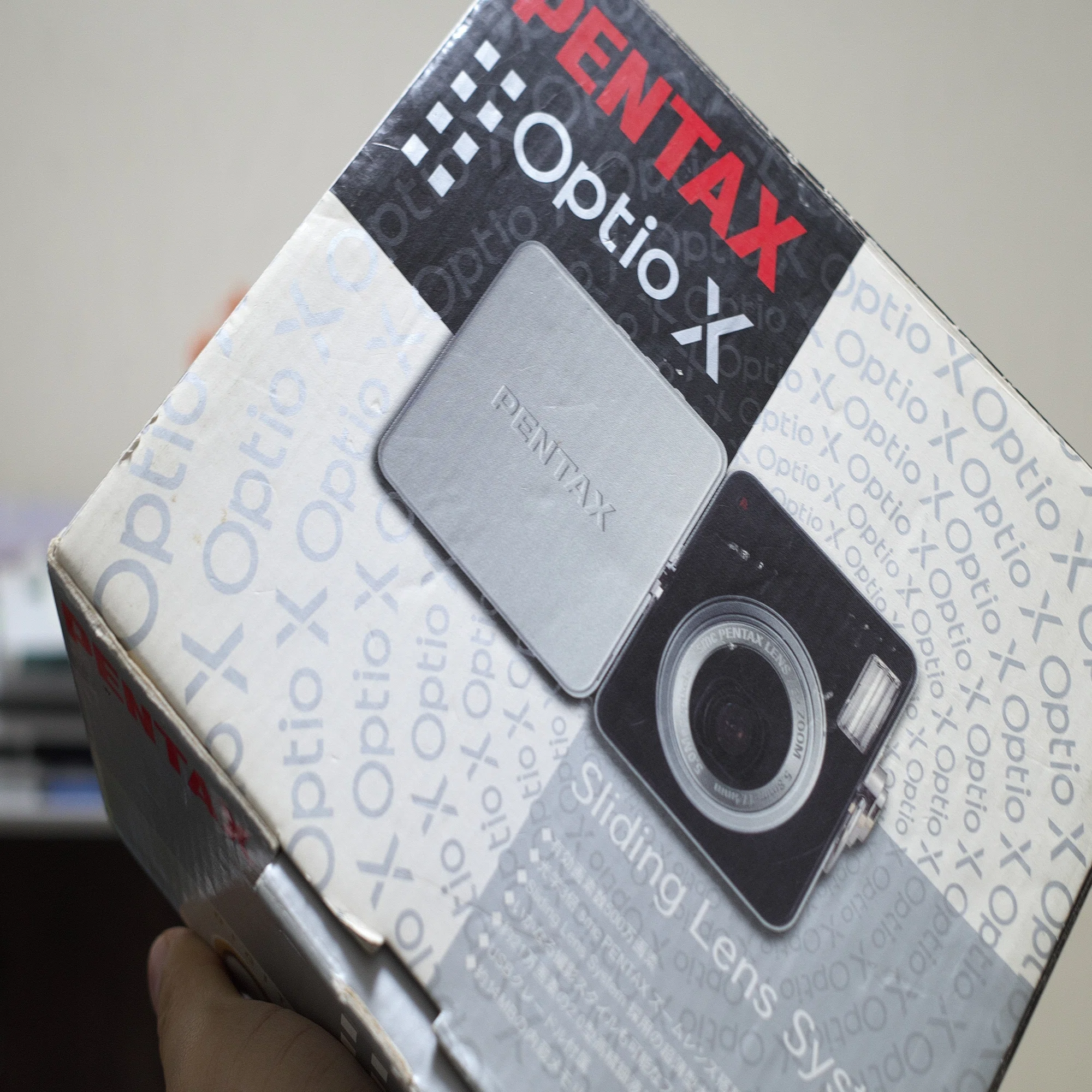 スイバルに会うも他生の縁 (PENTAX Optio X)｜夢望庵 / Mubou-an